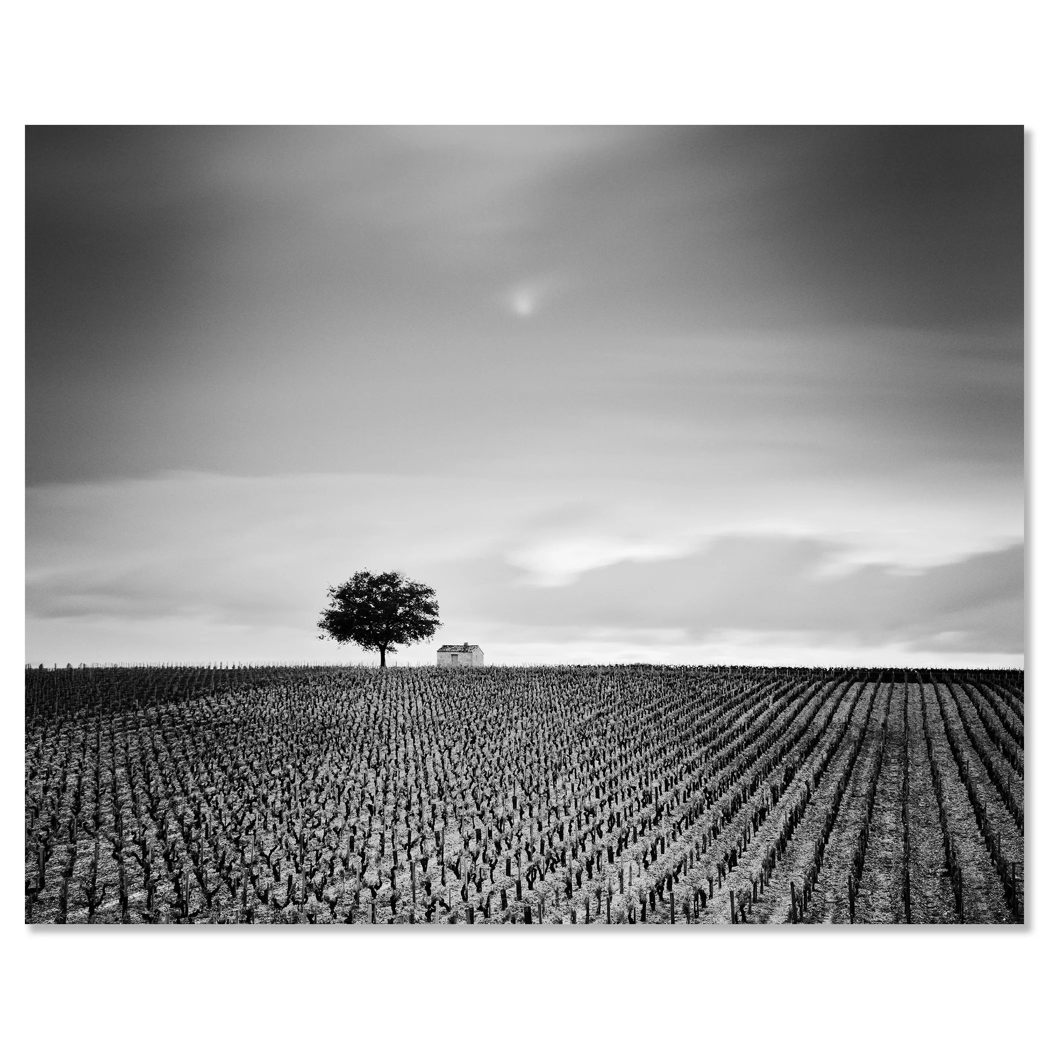 Champagne Paradise Study 2 in frameless Dibond presentation by Gerald Berghammer