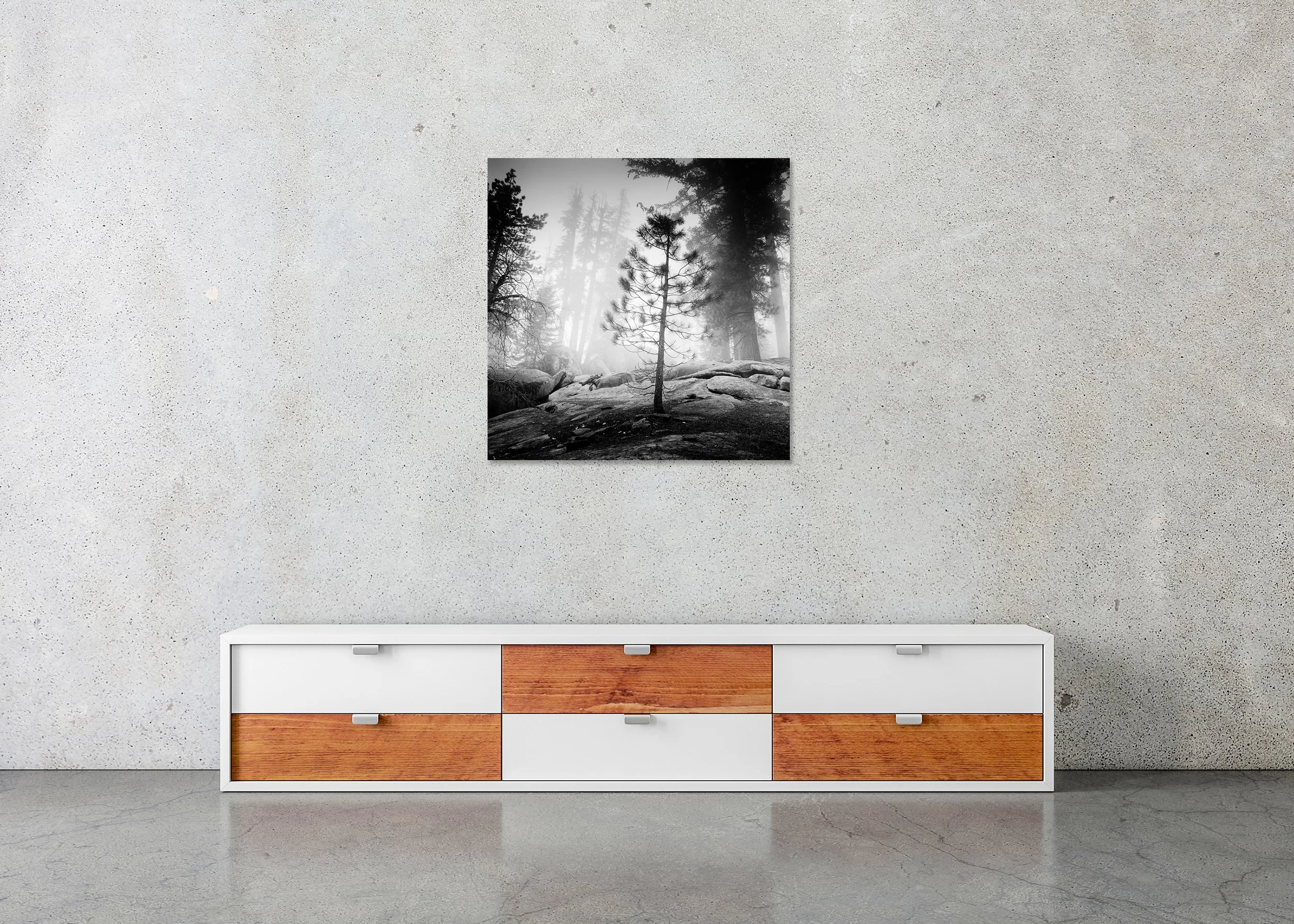 Into the Wild displayed in a modern interior as a frameless black-and-white artwork mounted on aluminium Dibond by Gerald Berghammer.