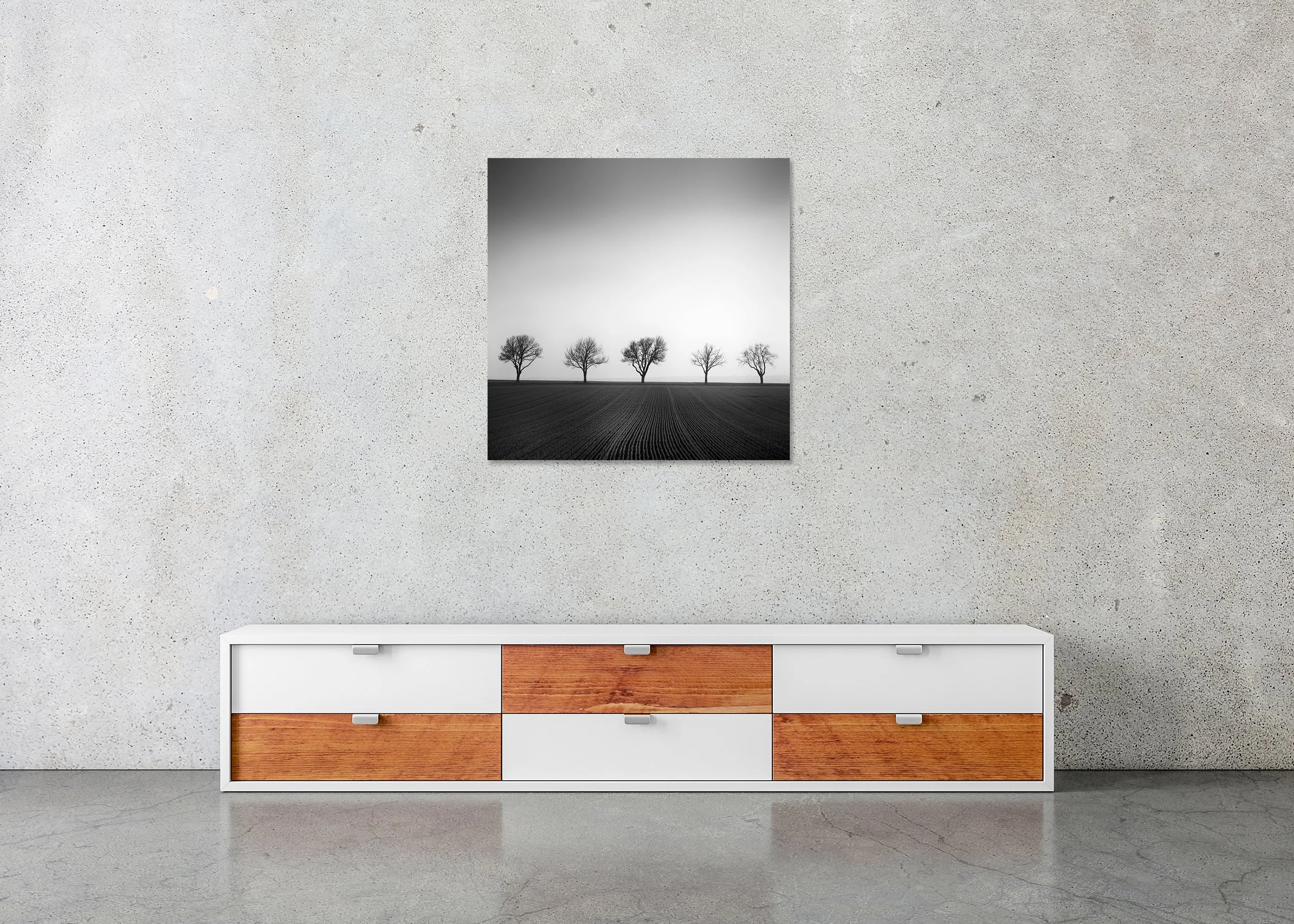 Cherry Tree Avenue, Study 1 displayed in a modern interior as a frameless black-and-white aluminium Dibond print by Gerald Berghammer.