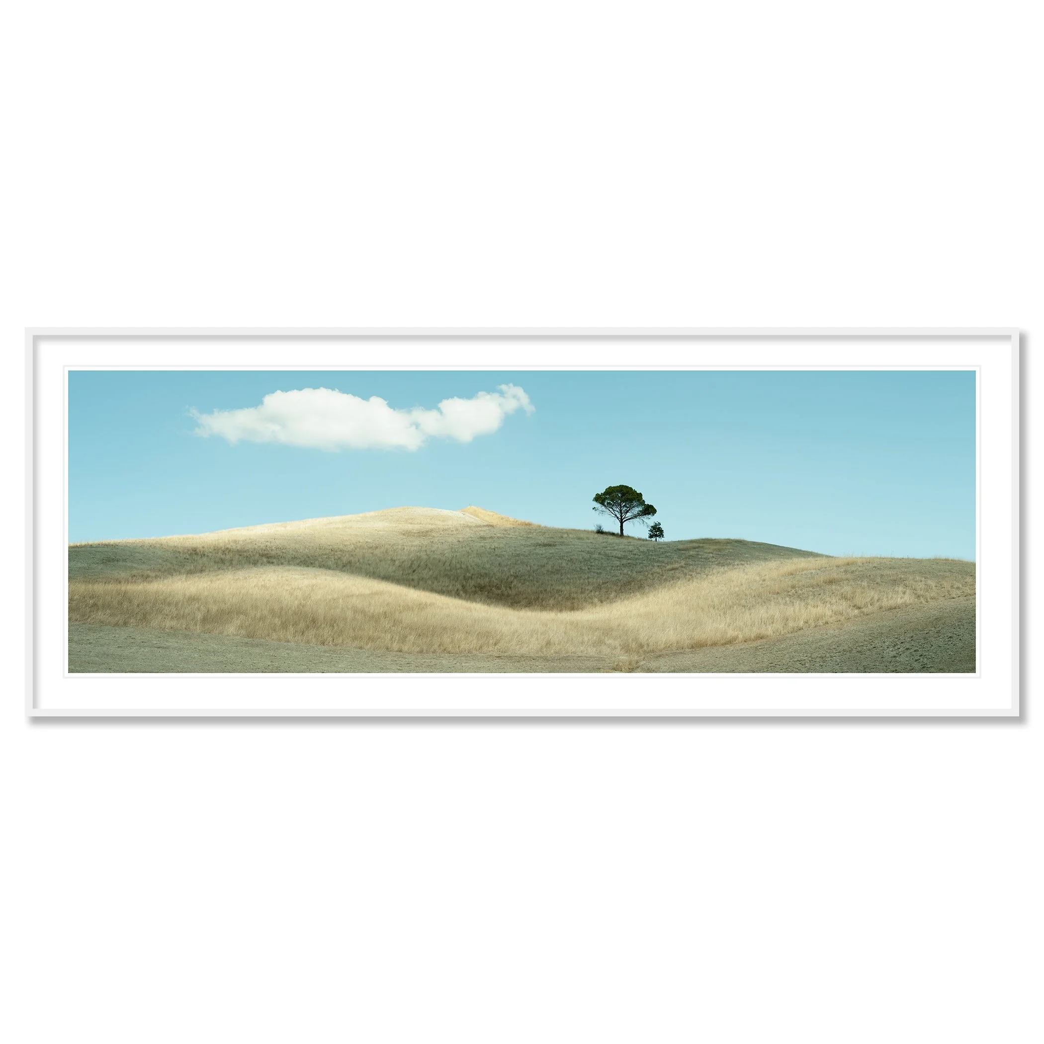 © 2021 Gerald Berghammer - Color Tuscany landscape photography. Landscape with rolling hills, a single tree, a huge cloud, and a field of dry grass. Classic framed white
