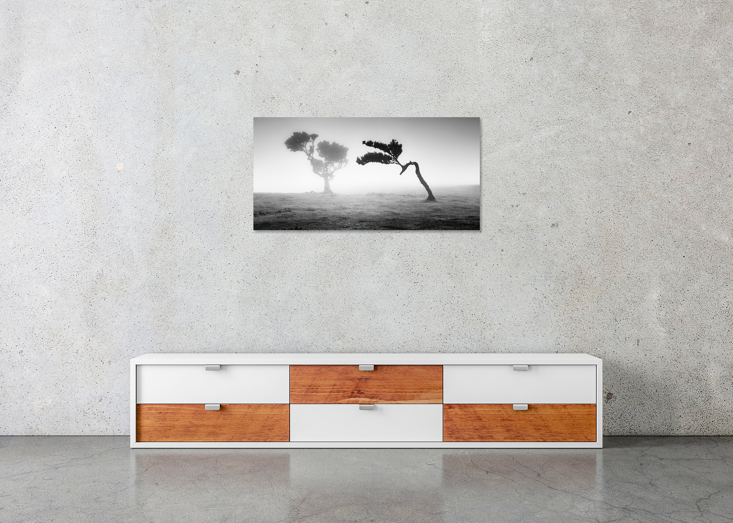 Two Trees in the Mist Panorama by Gerald Berghammer displayed in a contemporary interior as a frameless Dibond artwork.
