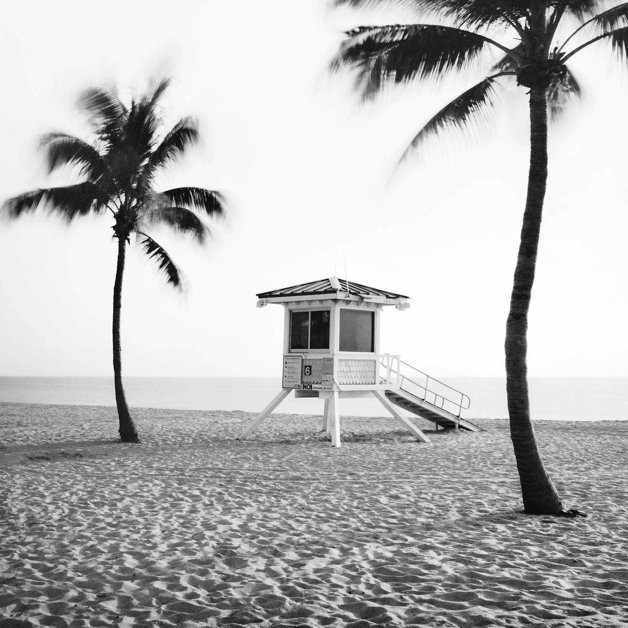 Fort Lauderdale Beach, Study 4 by Gerald Berghammer, black-and-white detail showing a lifeguard tower framed by two windswept palm trees.
