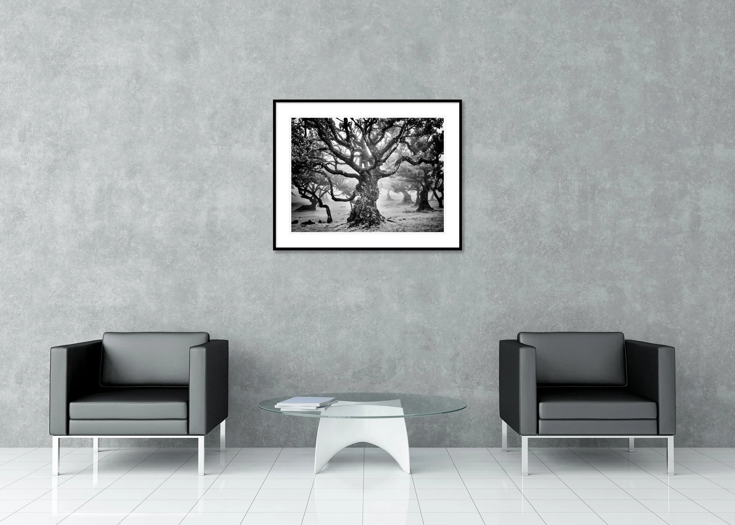 Ancient Laurisilva Forest Study 7 displayed in a modern interior as an archival pigment print in a black aluminium frame with a white mount. Photo by Gerald Berghammer.