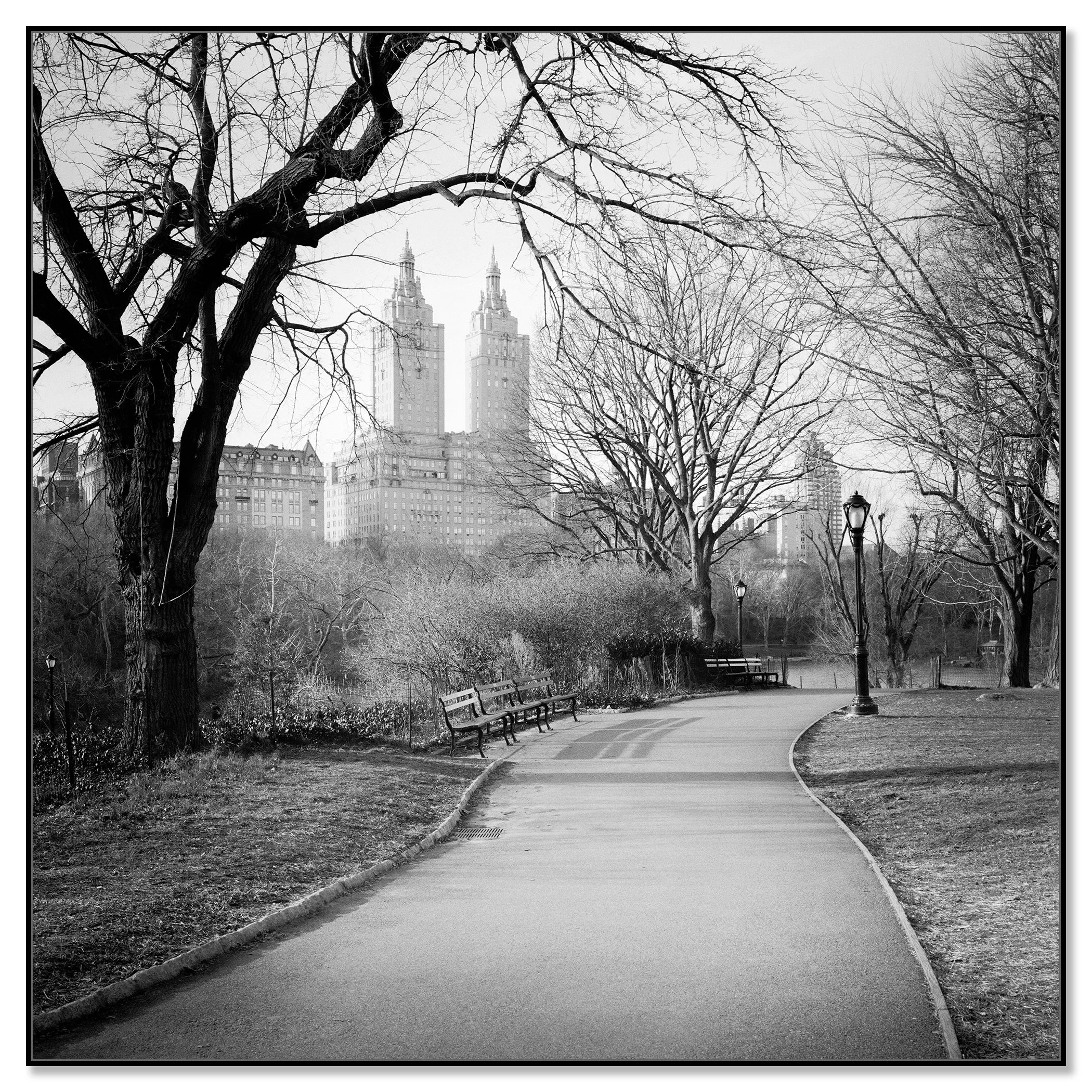 The San Remo Study 2 by Gerald Berghammer, black-and-white photograph on frameless Dibond, New York City.