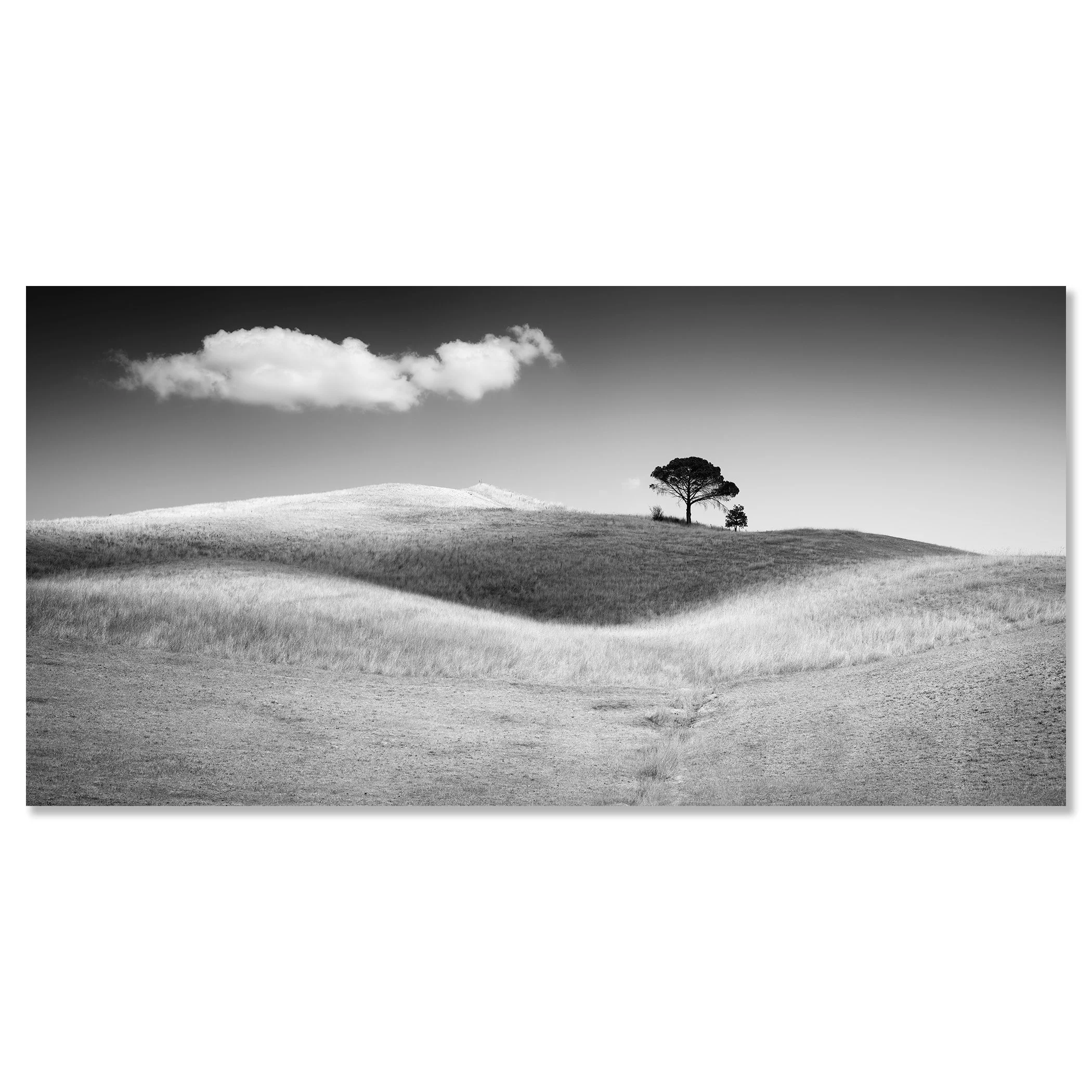 Black and white landscape with rolling hills, a lone tree and a cloud in the sky – dibond frameless