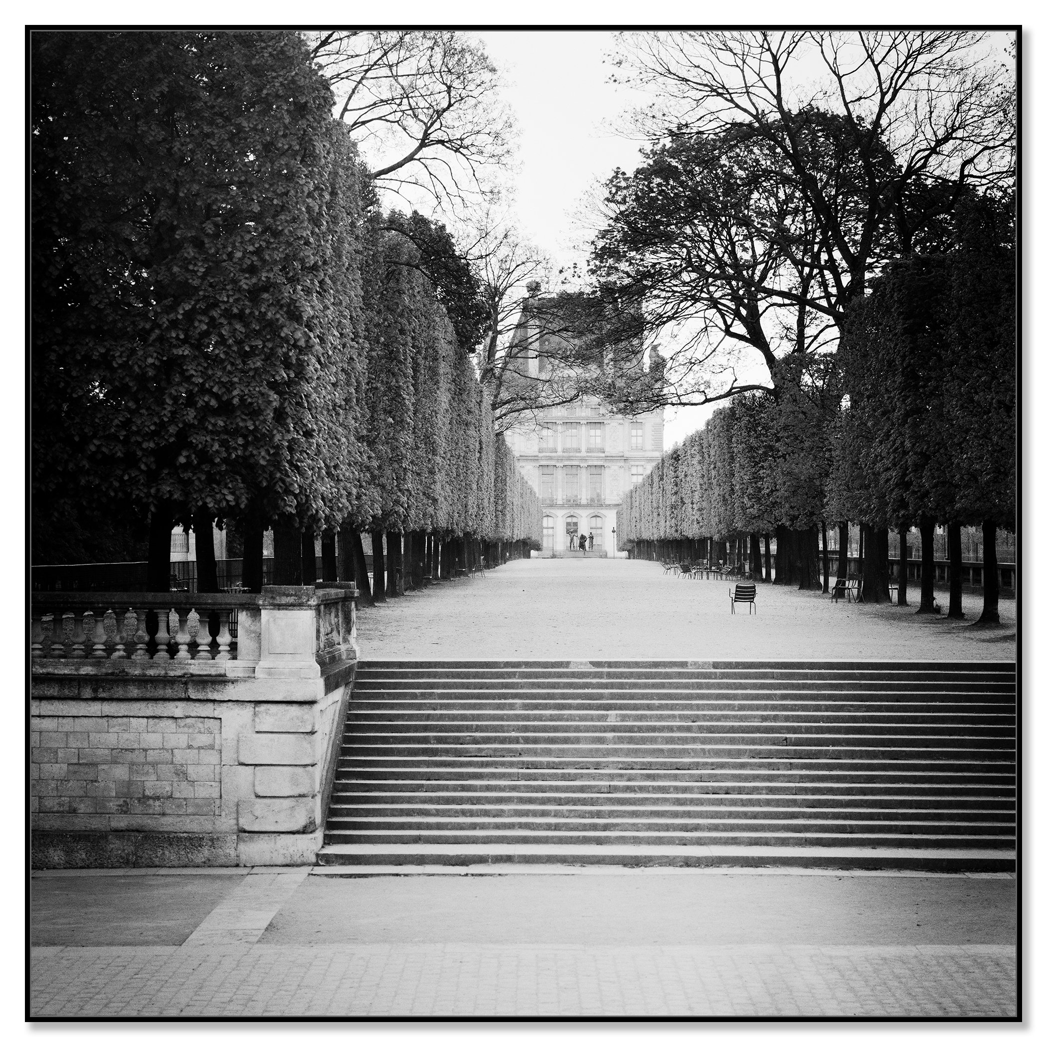 Black and white view of a tree-lined pathway and stone steps leading towards the Pavillon de Flore in Paris – framed ArtBox black