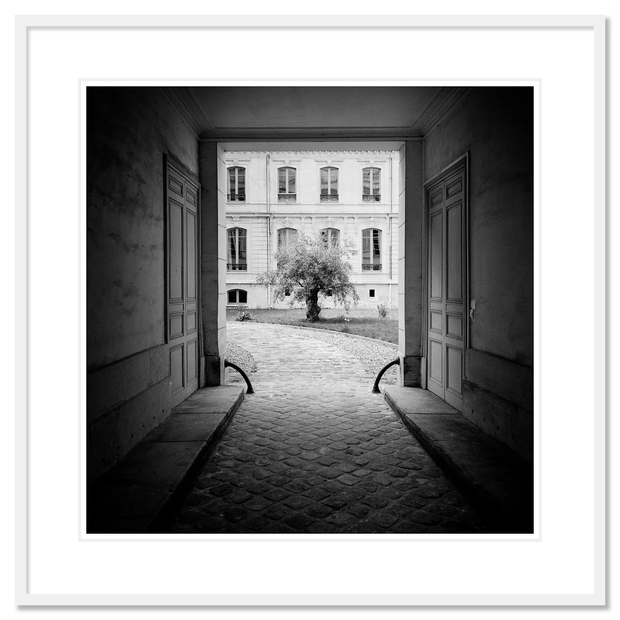 Tree in the Courtyard as an archival pigment print in a white aluminium frame with a white mount by Gerald Berghammer.