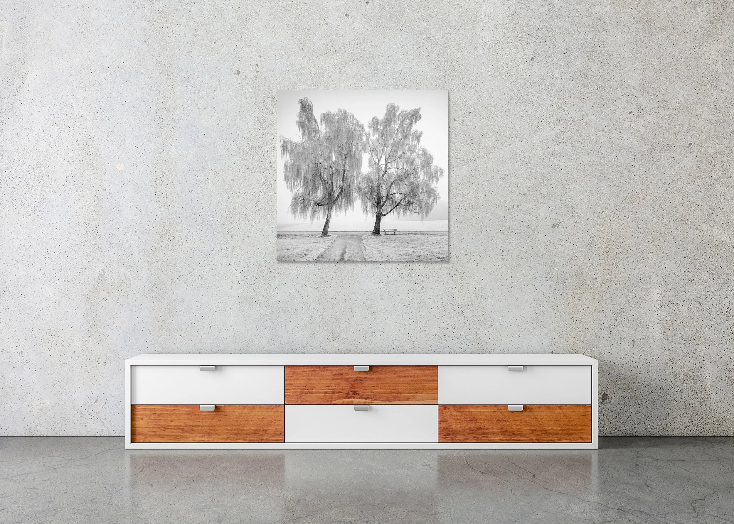 Place to Linger, Winter Study 1 – frameless black-and-white photo print on aluminium Dibond displayed above a low cabinet.