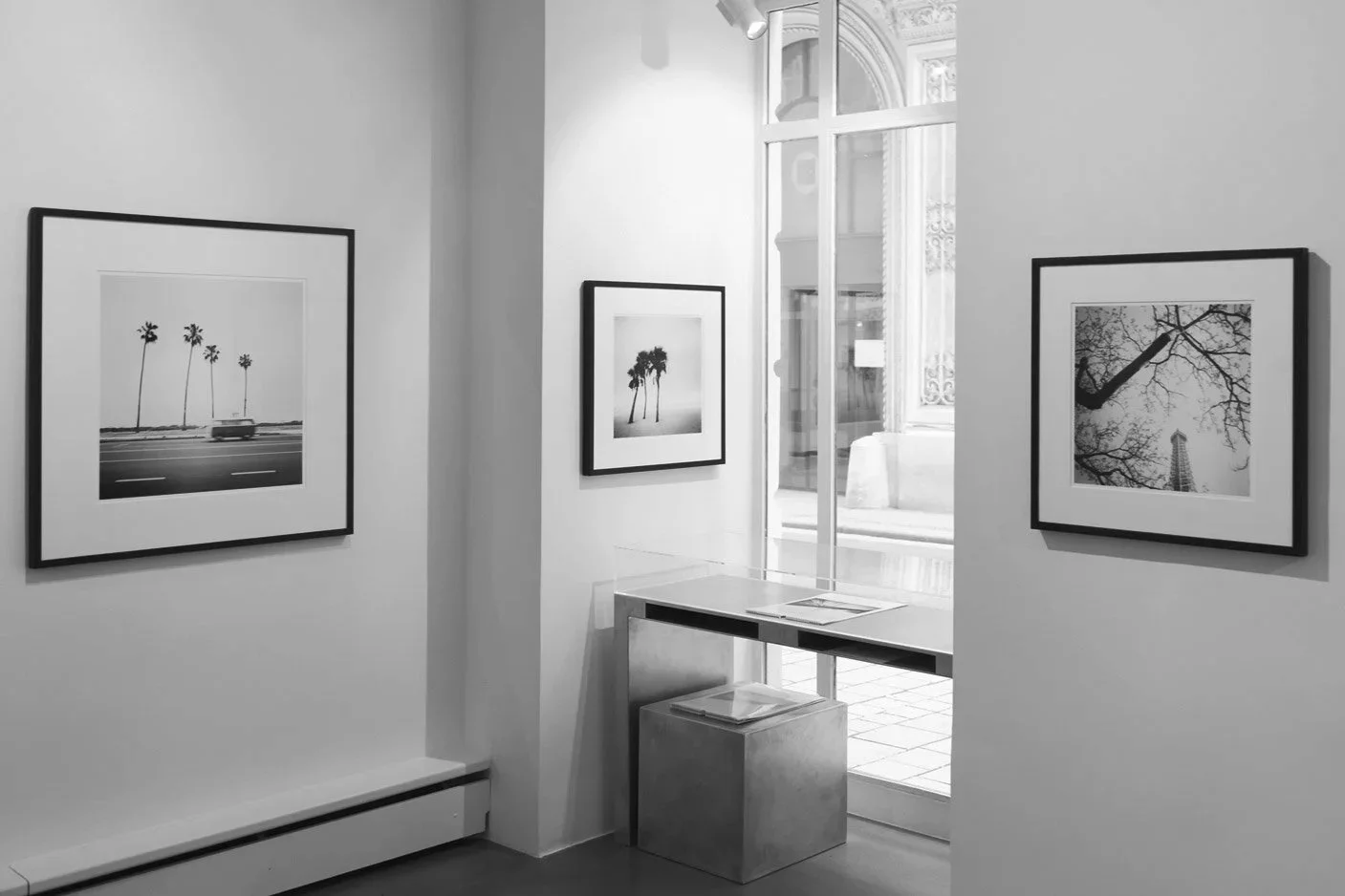 Framed black-and-white photographs of palm trees and architecture by Gerald Berghammer, displayed near the entrance of Bildraum 01 during THE SELECTION.