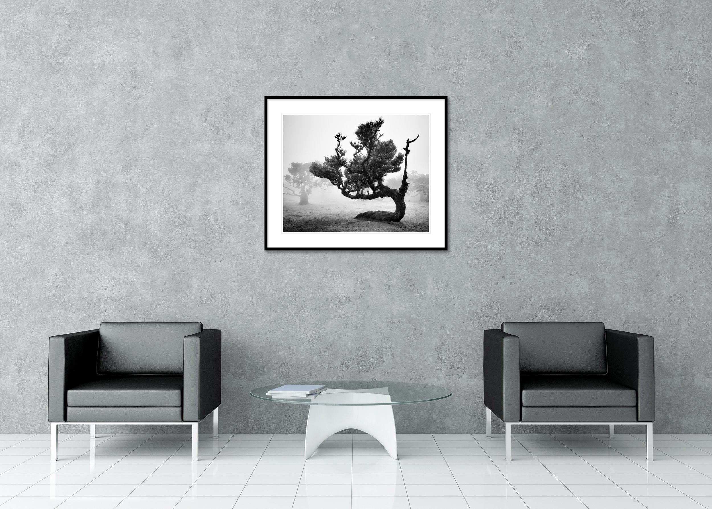 Ancient Laurisilva Forest Study 12 displayed in a modern interior as an archival pigment print in a black aluminium frame with a white mount by Gerald Berghammer.