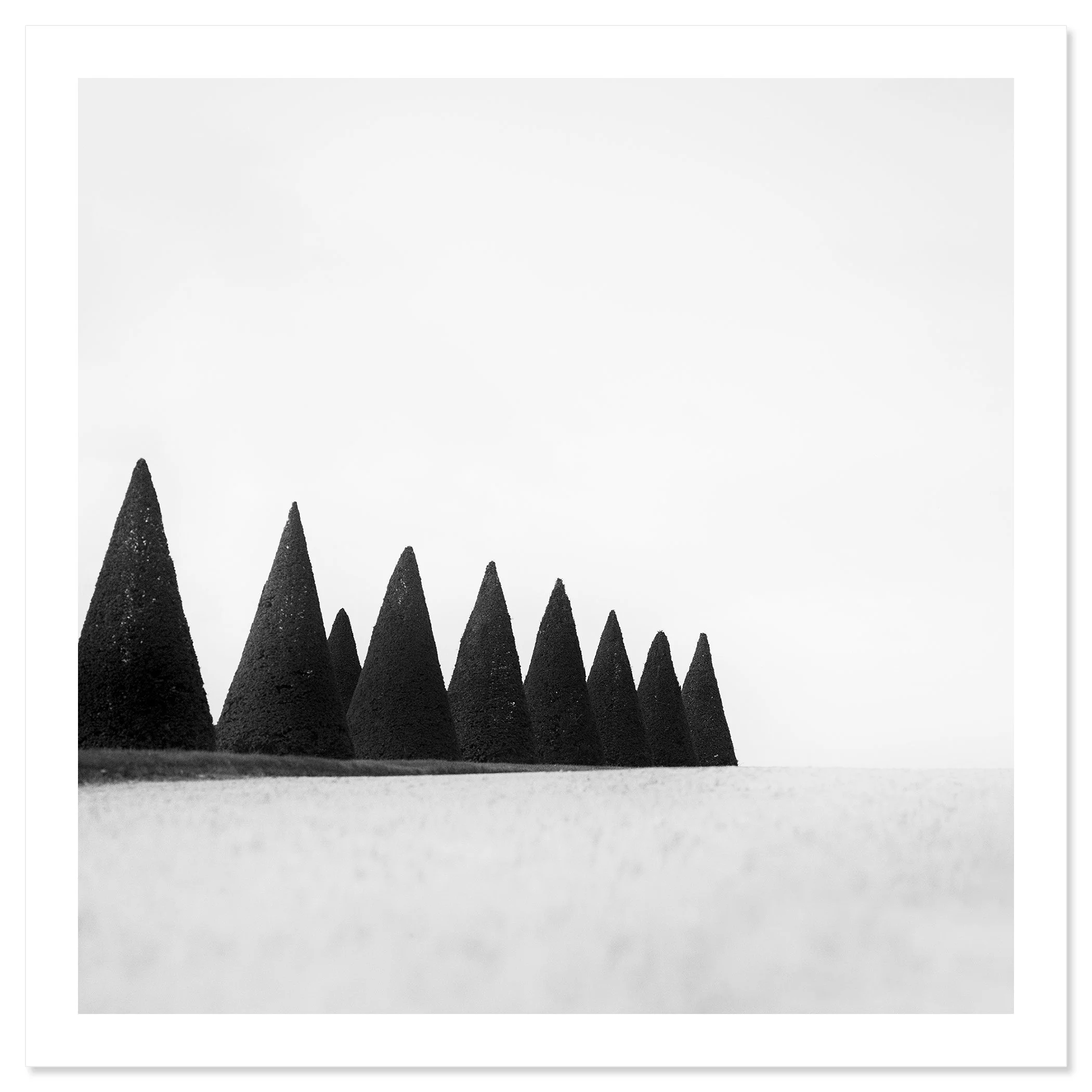 Hedges Study 3 – archival pigment print of sculpted hedges in Versailles, France, by Gerald Berghammer.