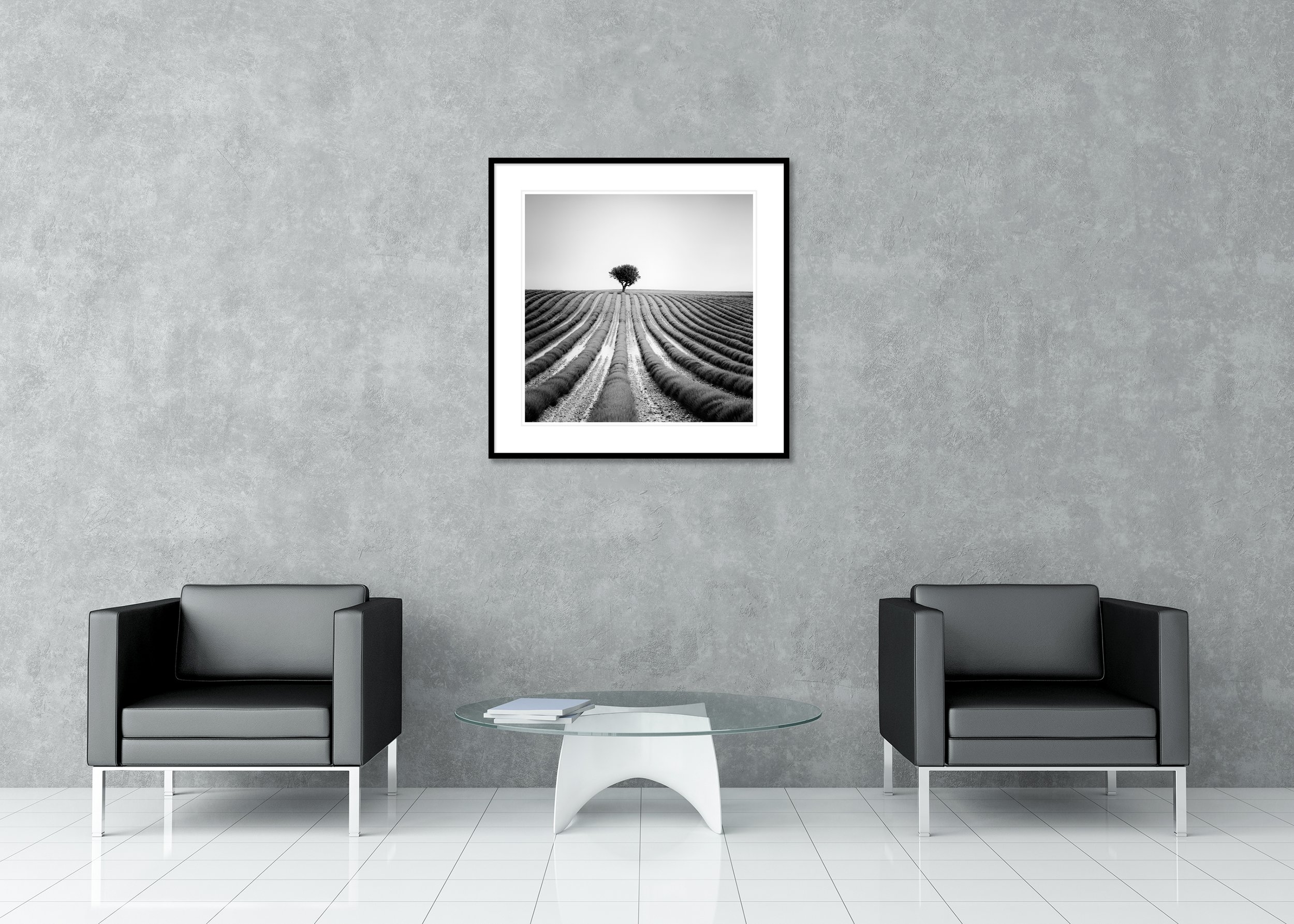 Lonely Tree in Lavender – France, archival pigment print in a black aluminium frame with a white mount displayed in a modern lounge.