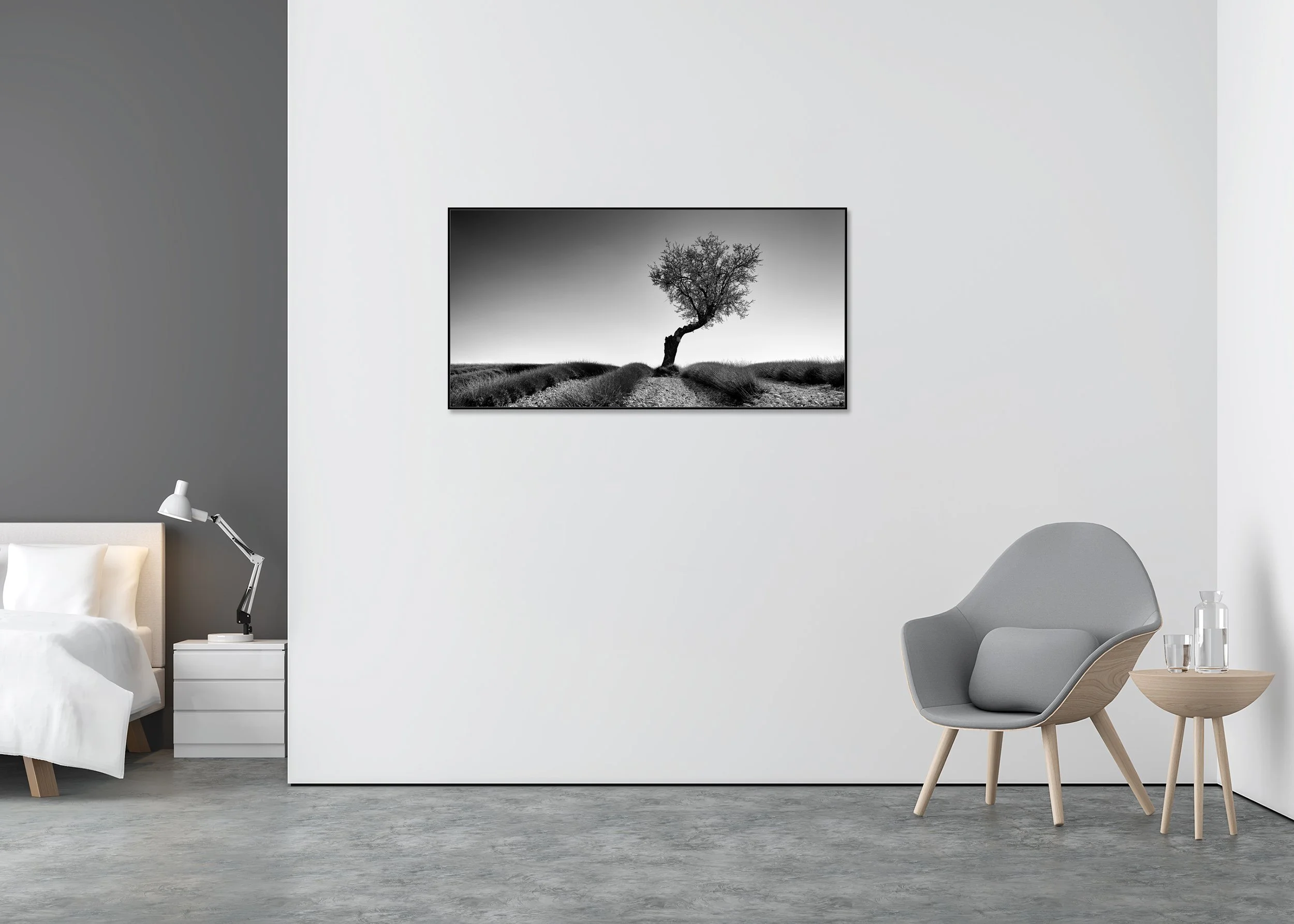 Black and white photo print of a solitary wind-shaped tree in a lavender field, mounted to Dibond in an aluminium ArtBox.