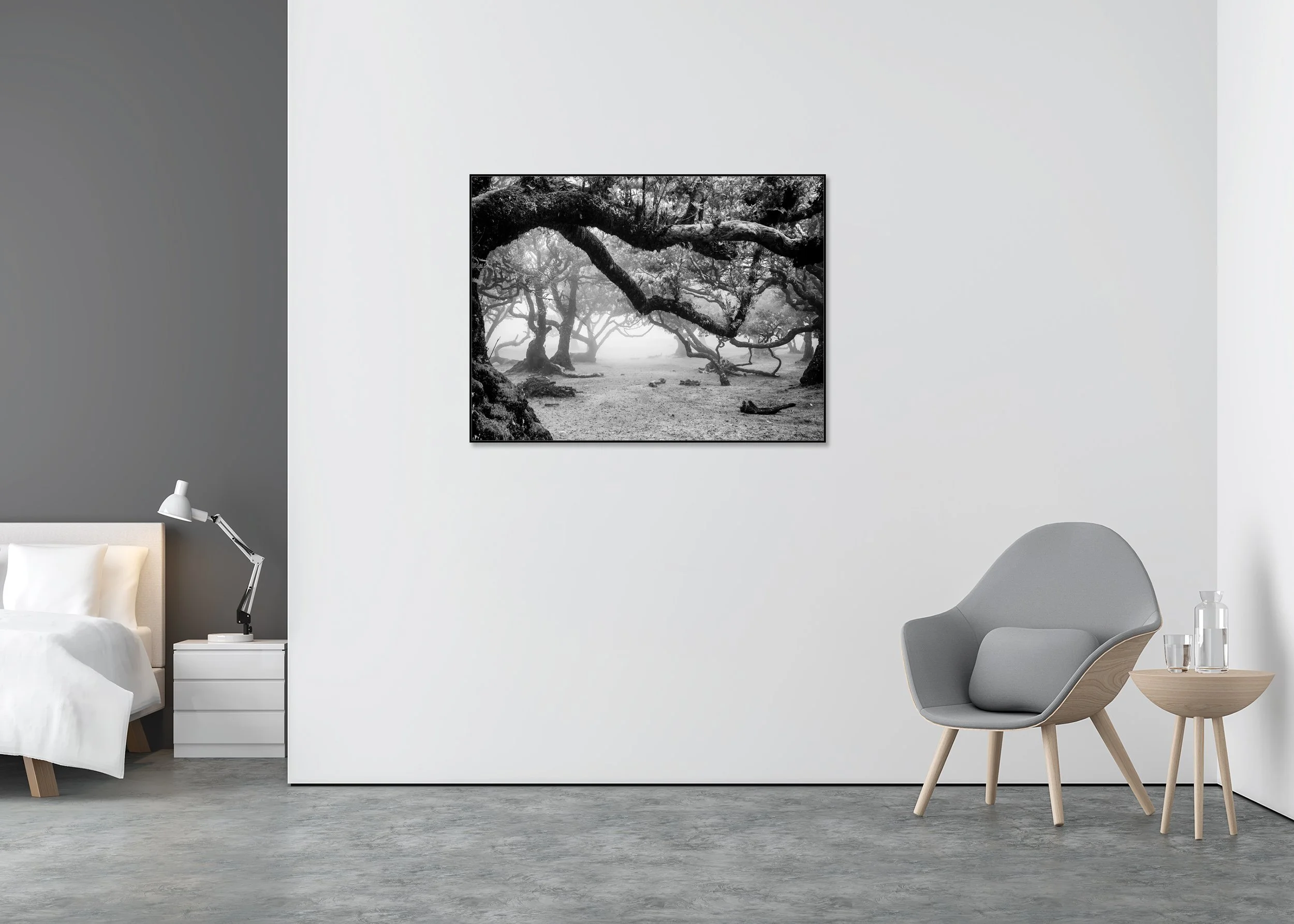 Foggy woodland scene with gnarled tree branches in monochrome, photo print mounted to Dibond in an aluminium ArtBox.