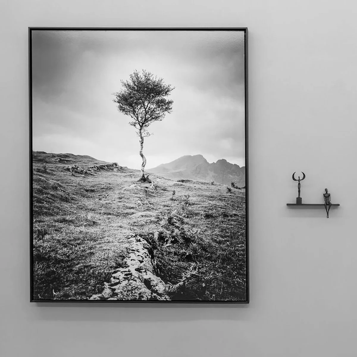Framed black-and-white photograph of a solitary tree by Gerald Berghammer beside two sculptures at SILVERFINEART Gallery.