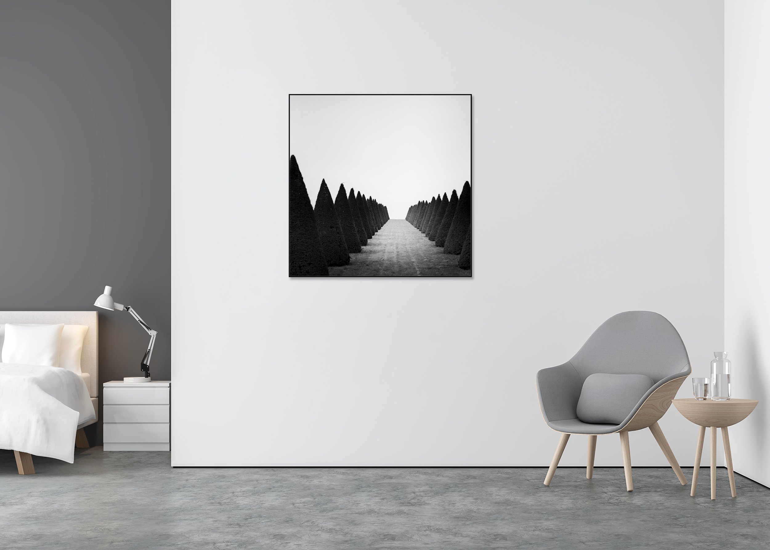 Hedges Study 4 displayed in a modern interior as a black-and-white Dibond print in a black aluminium ArtBox by Gerald Berghammer.