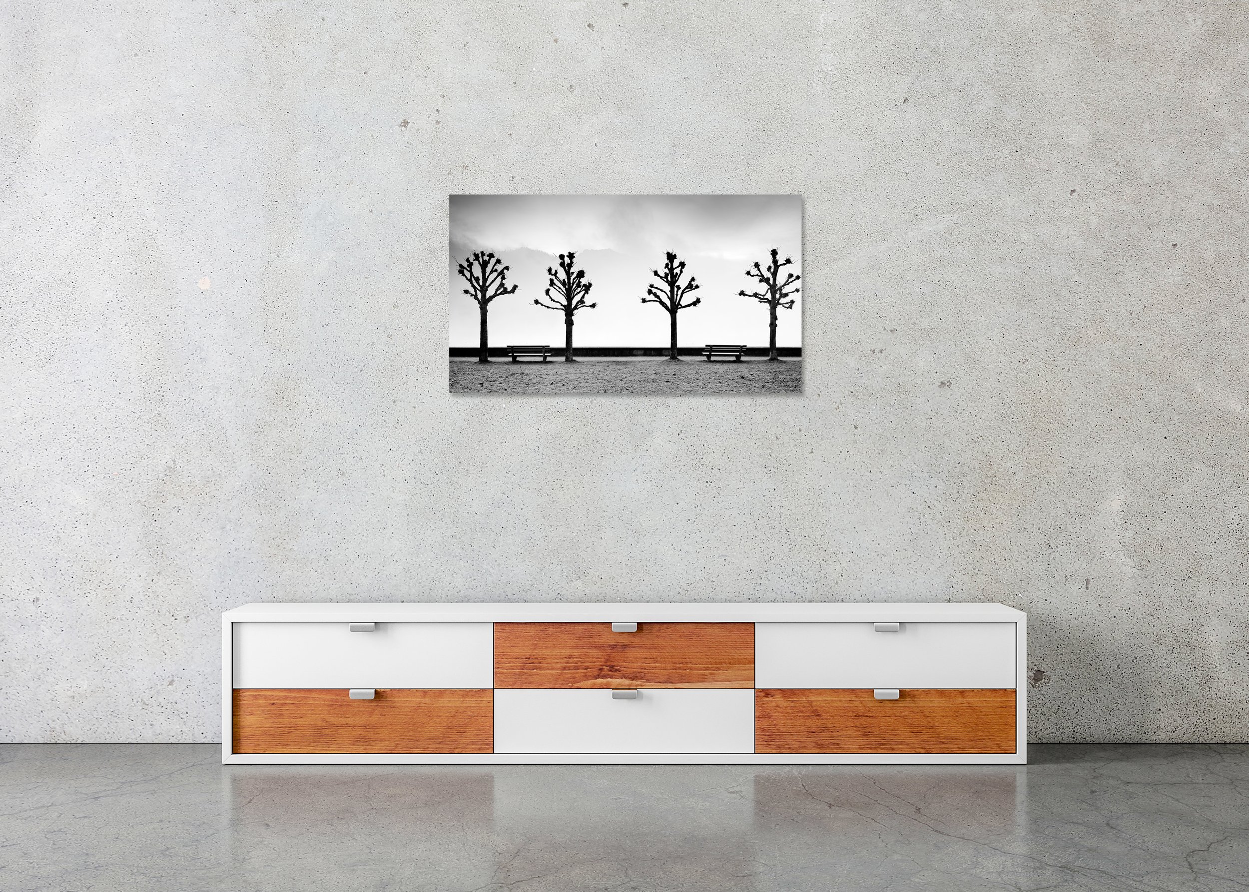 Esplanade with Chestnut Trees displayed in a modern interior as a frameless black-and-white artwork mounted on aluminium Dibond by Gerald Berghammer.