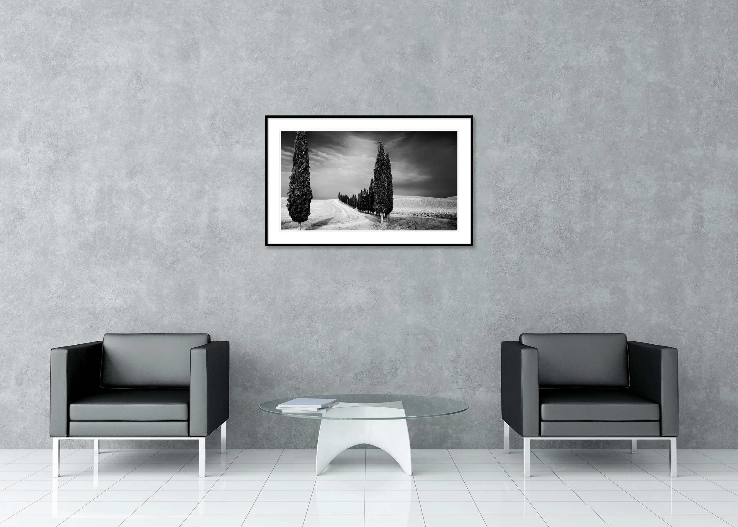 Cypress Tree Avenue Panorama Study 2 displayed in a modern interior as an archival pigment print in a black aluminium frame with a white mount. Photo by Gerald Berghammer.