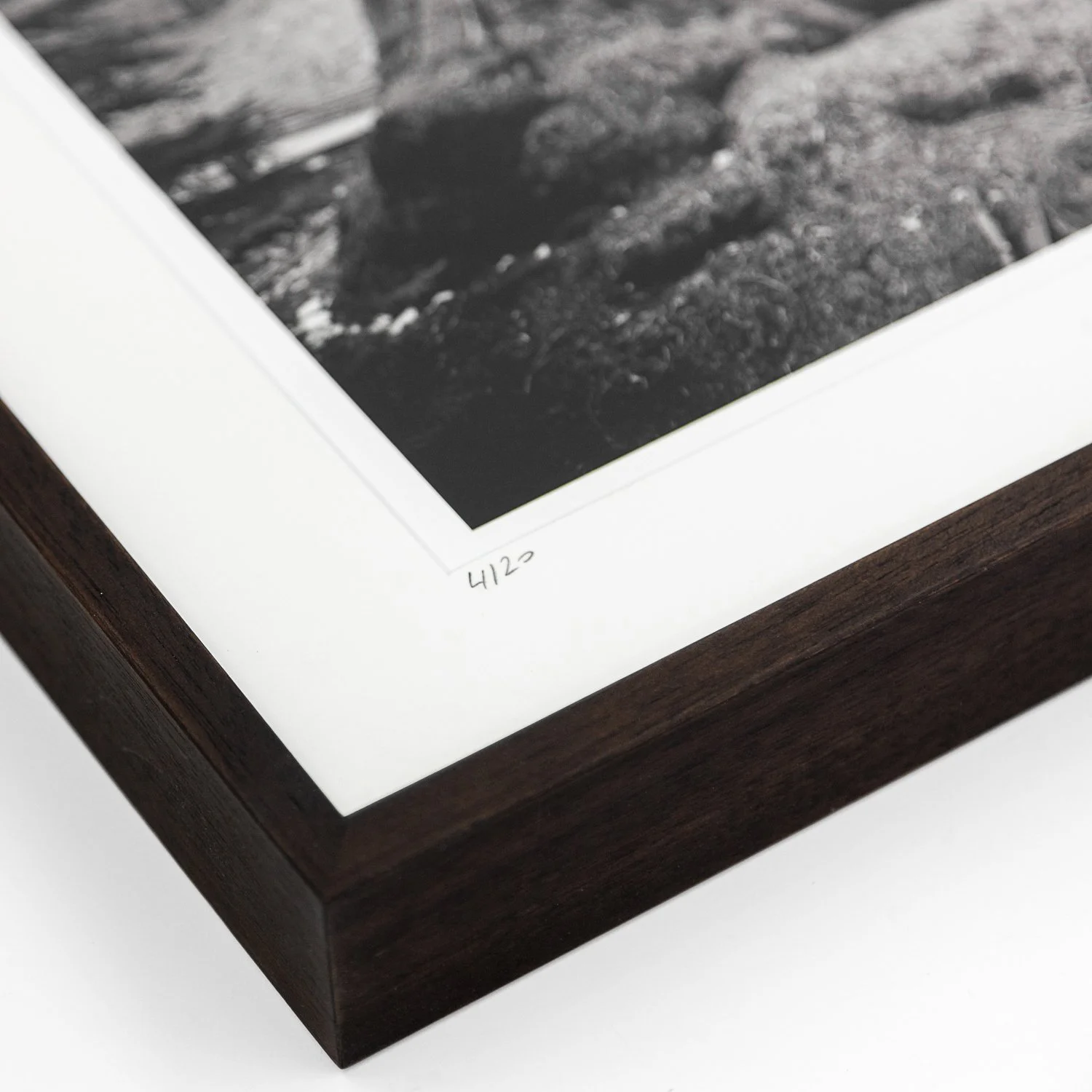 Detail of Redwood Study 2 by Gerald Berghammer, showing the handwritten edition number 4/20 and dark-brown wooden frame.