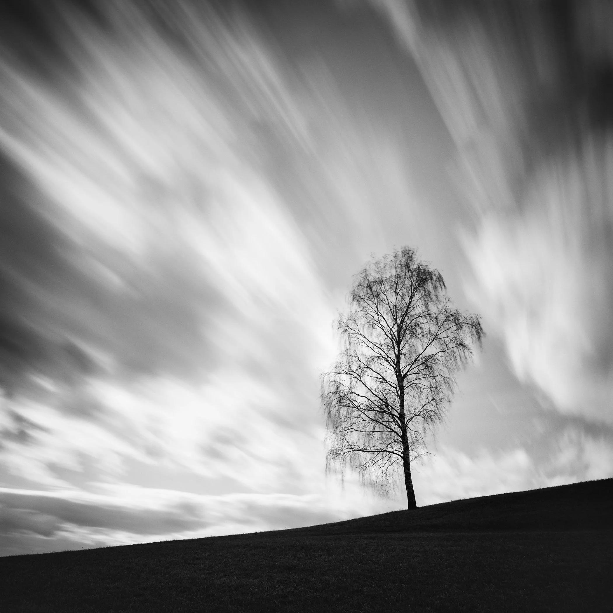 Black Birch by Gerald Berghammer, minimalist black-and-white fine art photograph of a solitary birch tree beneath a dramatic long-exposure sky in Austria.