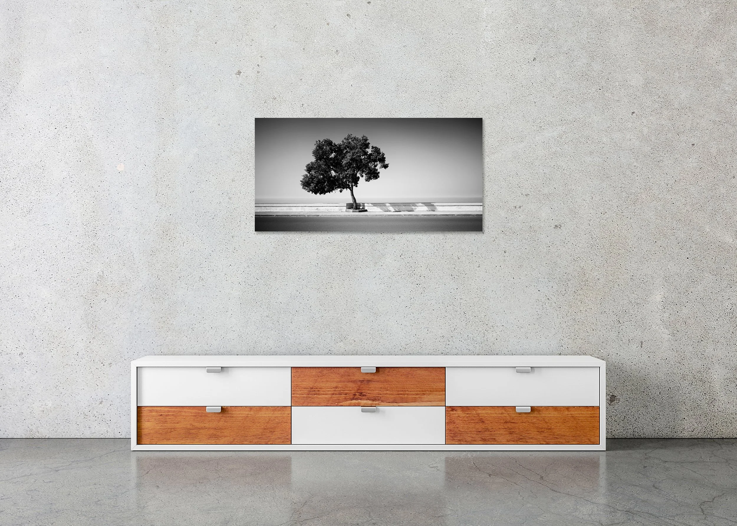 Tree by the Waterfront displayed in a modern interior as a frameless black-and-white artwork mounted on aluminium Dibond by Gerald Berghammer.