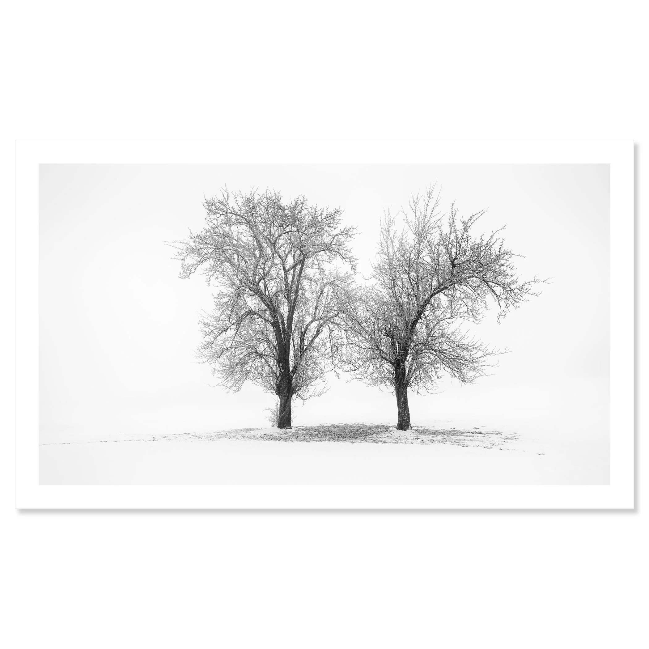 Still Winter Morning Study 1 – Austria as a black-and-white fine art print on baryta paper