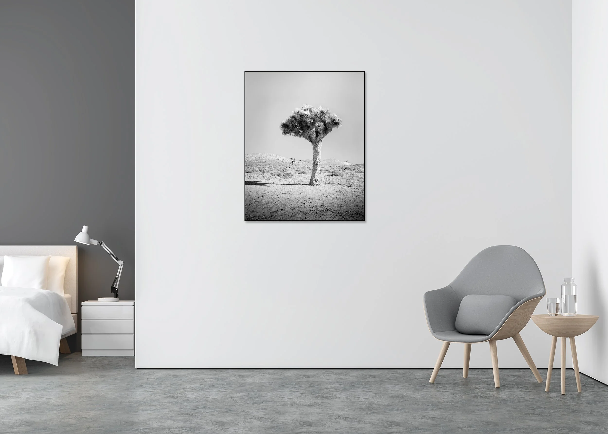 Joshua Tree Study 1 by Gerald Berghammer displayed in an aluminium ArtBox in a contemporary interior