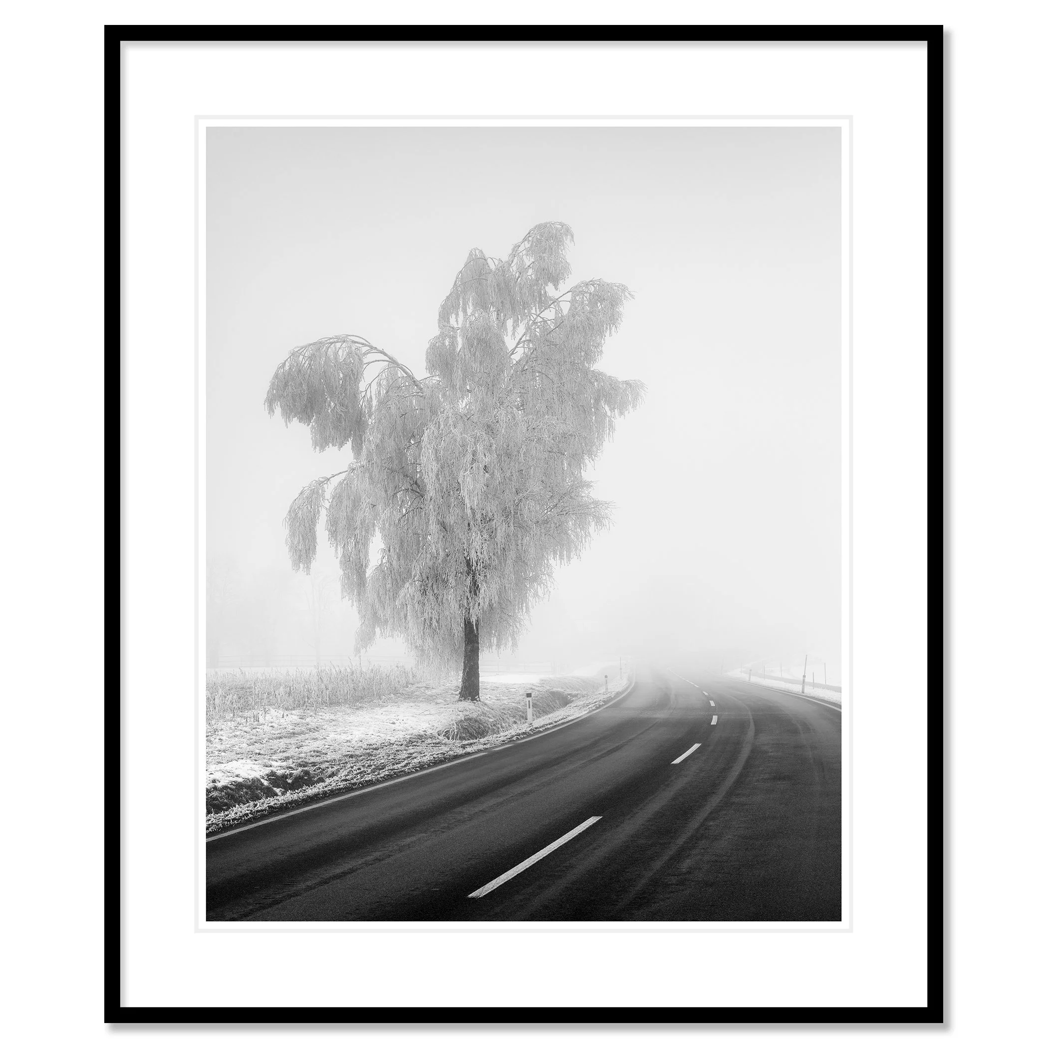 Frozen Birch Tree Study 2 as an archival pigment print in a black aluminium frame with a white mount by Gerald Berghammer.
