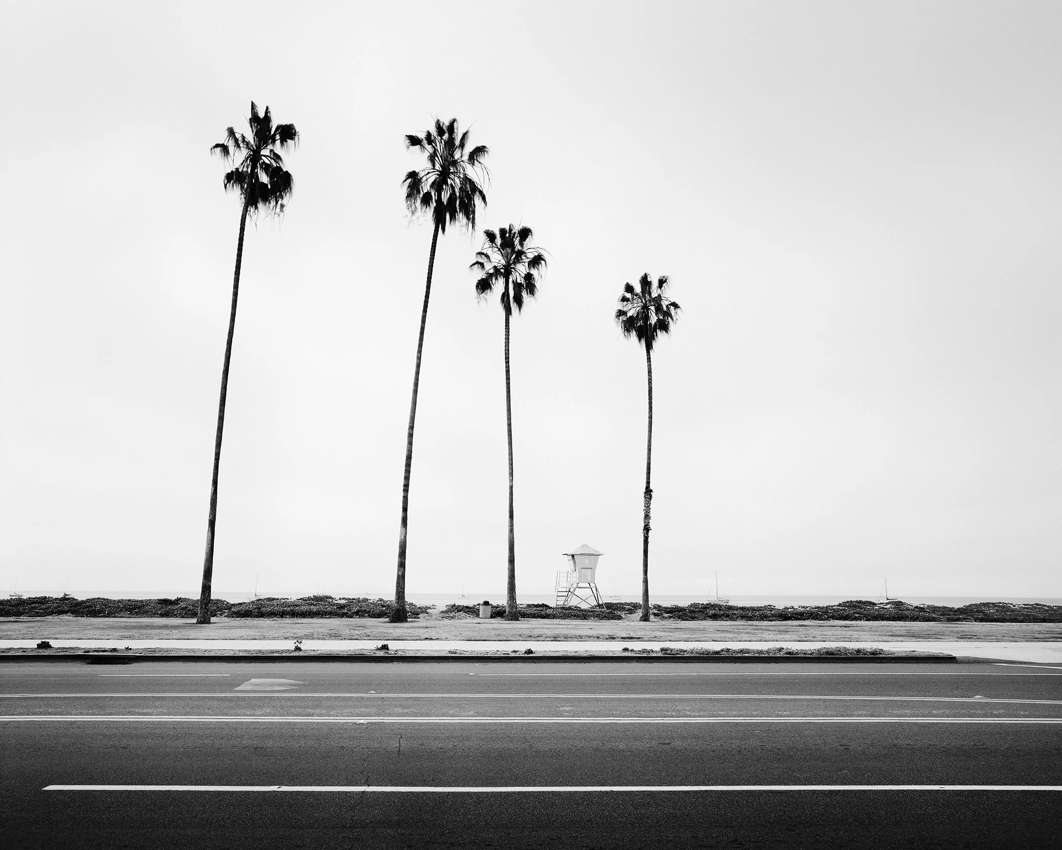 Palm Tree Study 4, a minimalist black-and-white photograph of four palm trees and a lifeguard tower in Santa Barbara, California, by Gerald Berghammer.