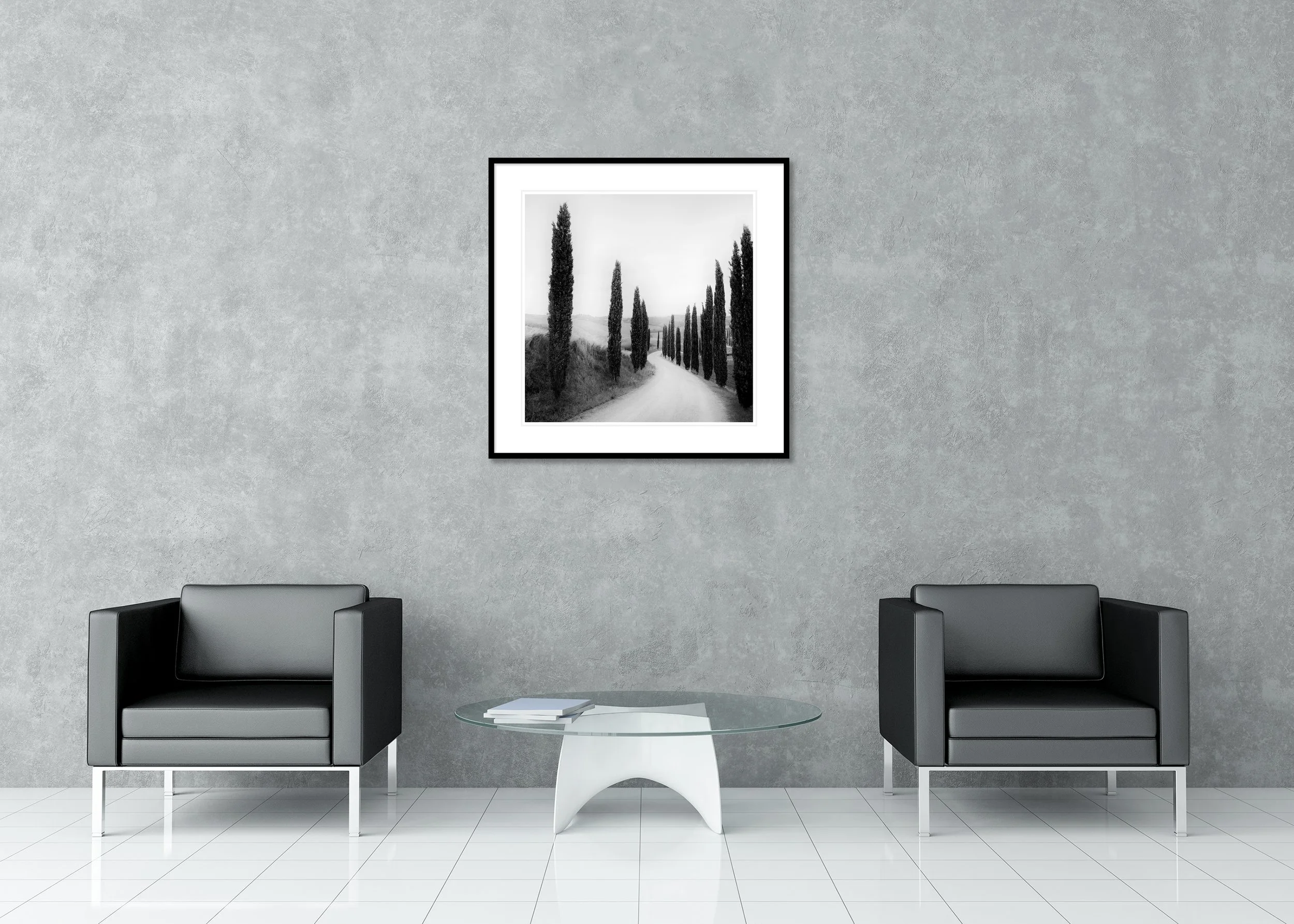 Path Lined with Cypress Trees by Gerald Berghammer displayed in a contemporary interior in a black aluminium frame with a white mount.