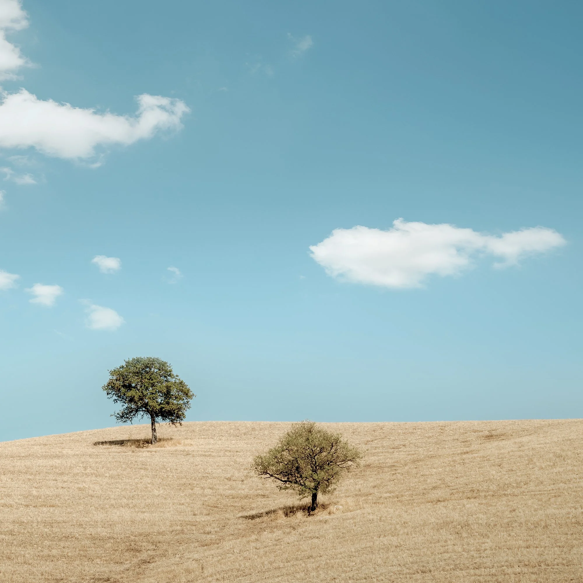 Close detail of white clouds over rolling Tuscan hills in Rolling Hills with Trees