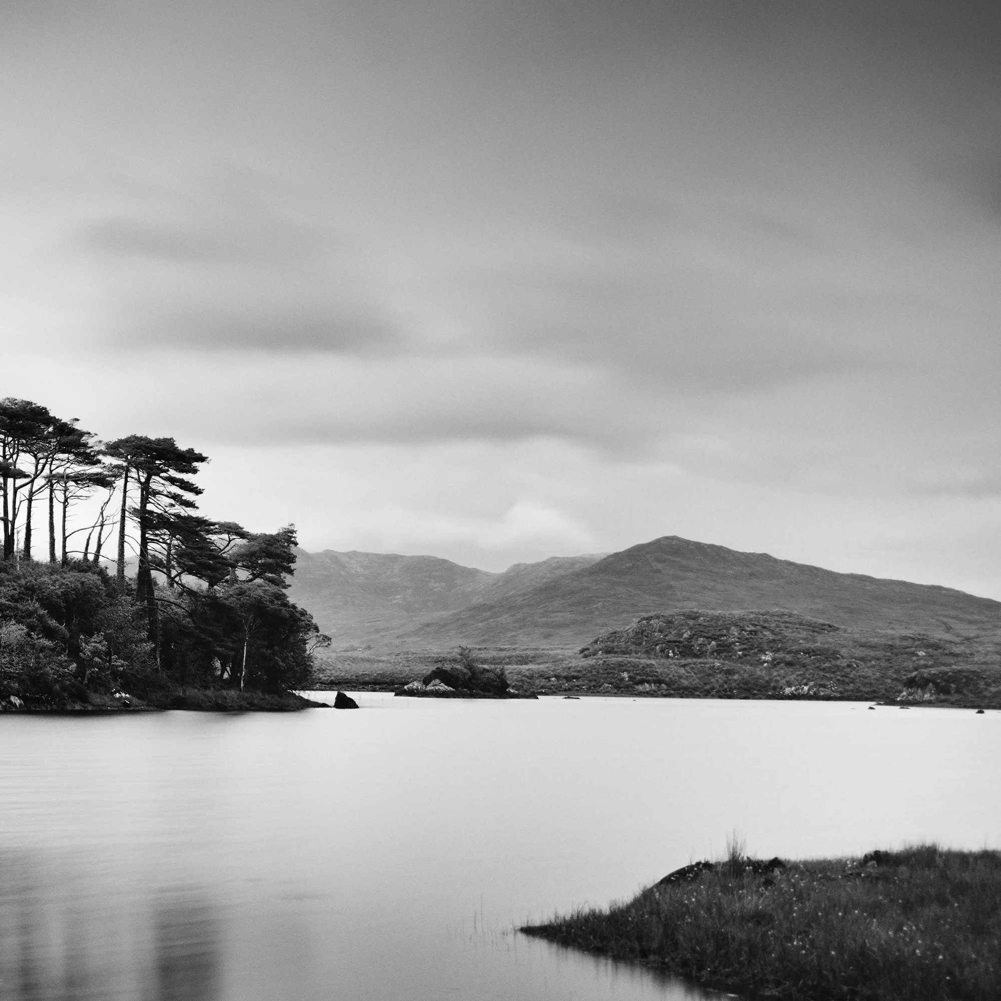 Gerald Berghammer - Black and white panorama landscape photography. Small island with tall trees, surrounded by water, mountains, and cloudy sky. Print detail 2