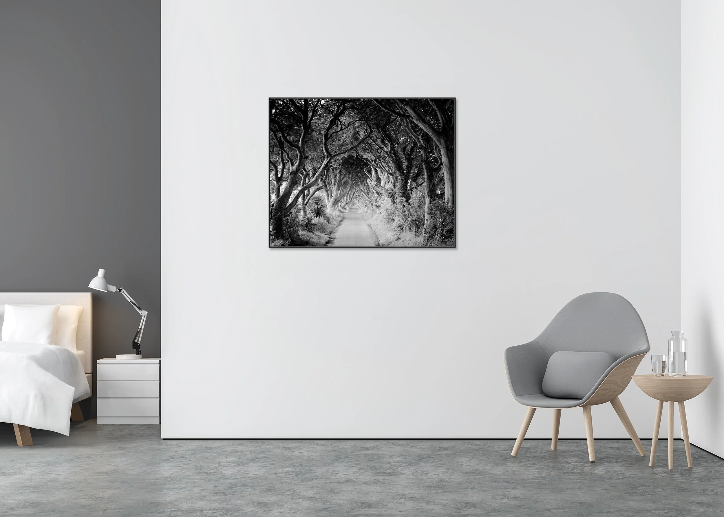 The Dark Hedges Study 3 displayed in a modern interior as a black-and-white Dibond print in a black aluminium ArtBox frame by Gerald Berghammer.