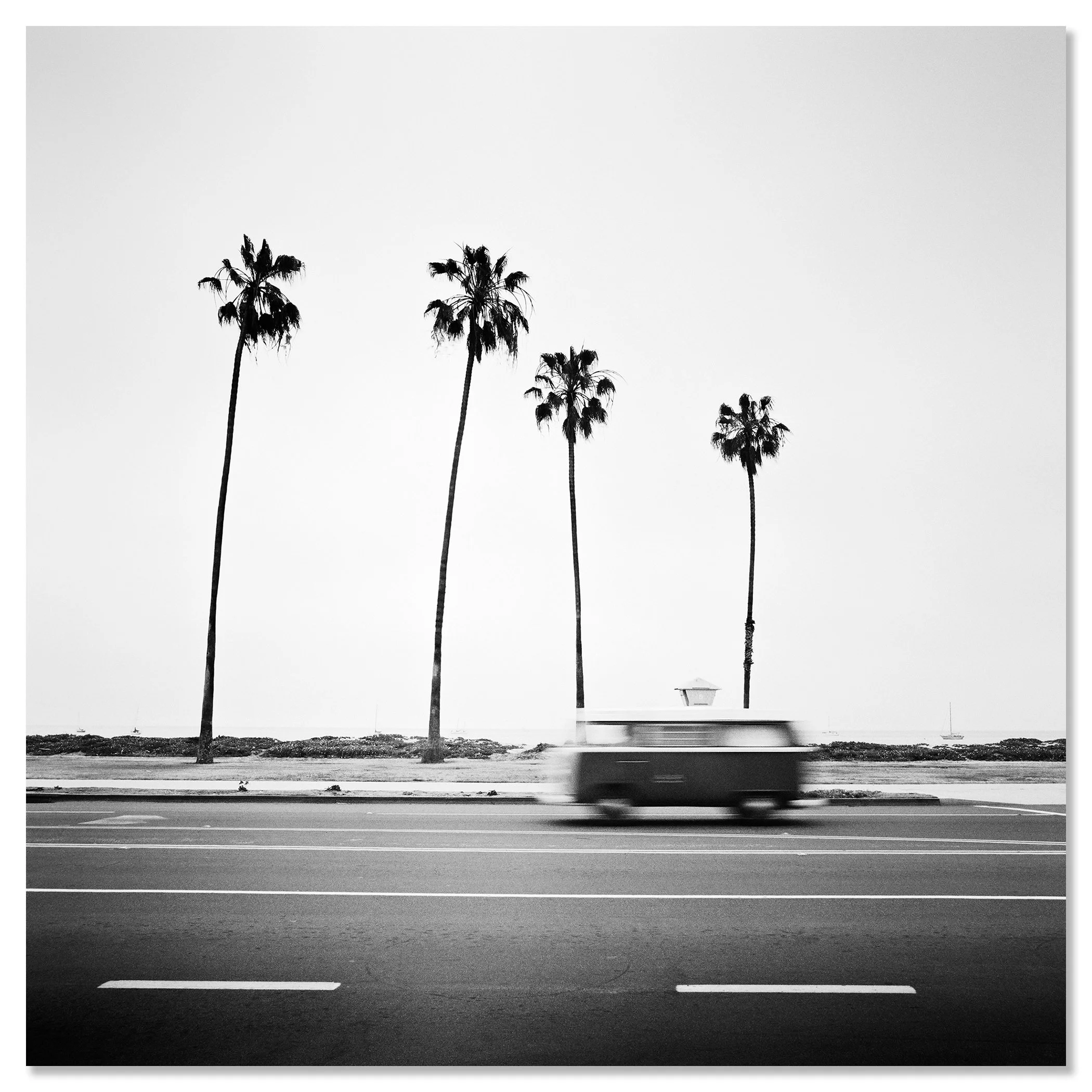 Black-and-white VW T2 bus with motion blur on a palm-lined coastal road in Santa Barbara, California – dibond frameless