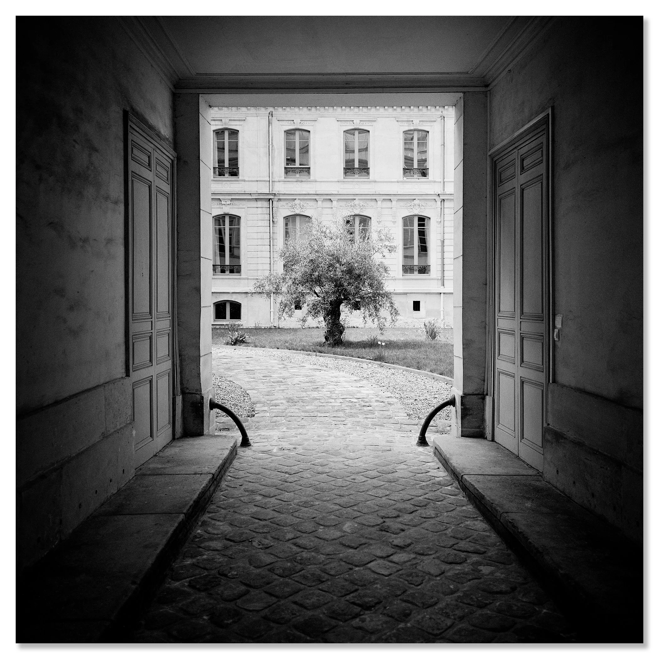 Tree in the Courtyard mounted on aluminium Dibond as a frameless artwork by Gerald Berghammer.