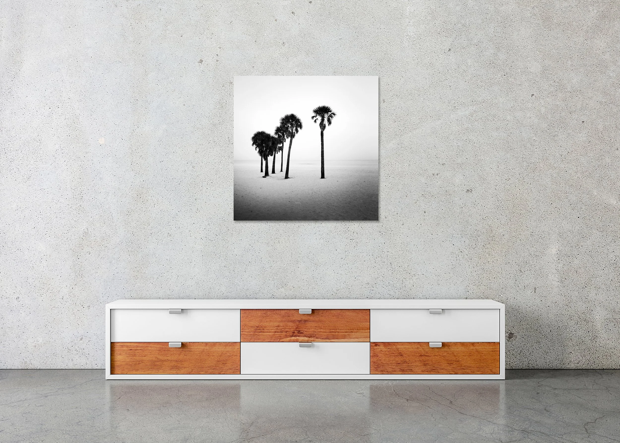 Palm Beach Study 7 displayed in a modern interior as a frameless black-and-white artwork mounted on aluminium Dibond by Gerald Berghammer.
