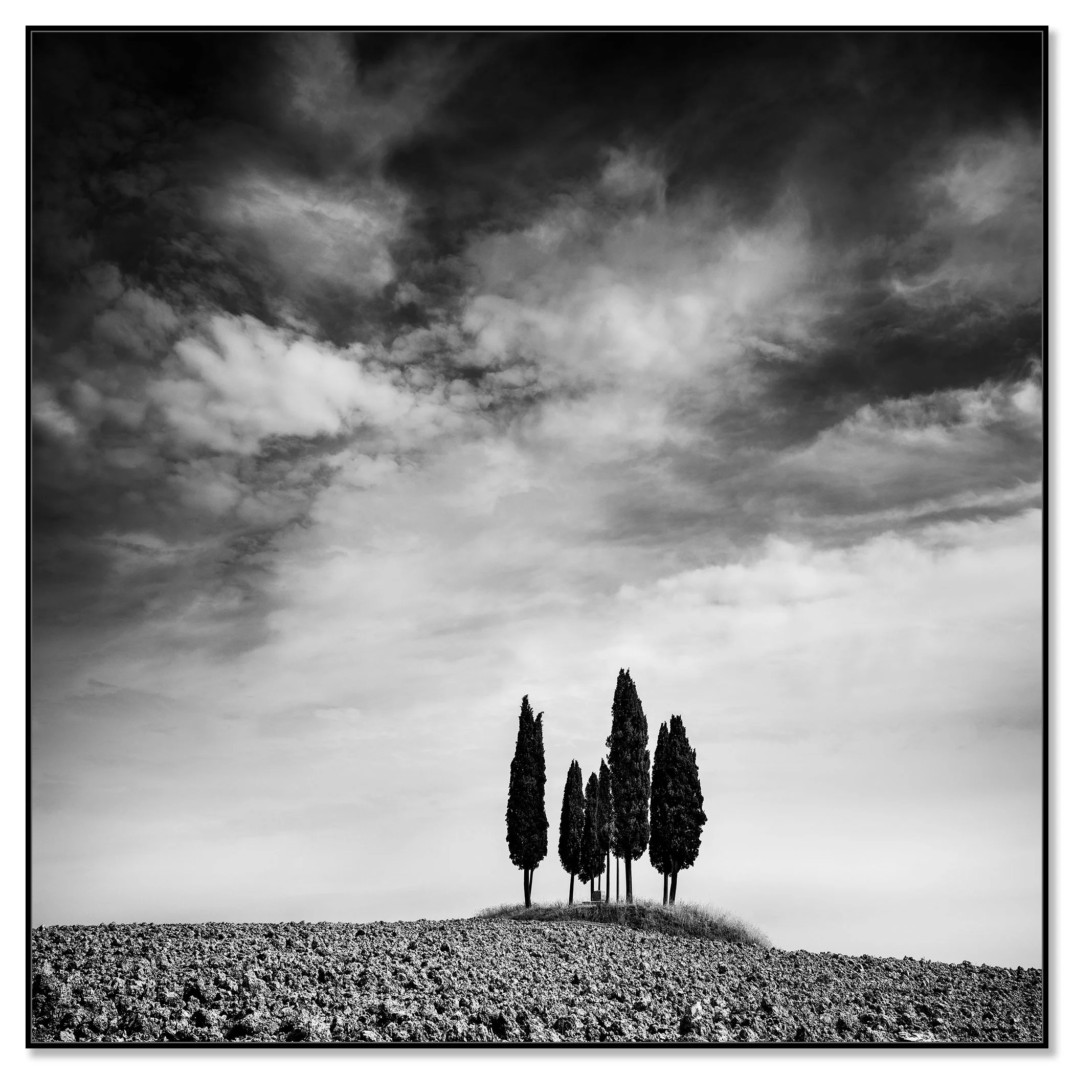 Black and white landscape photo of cypress trees on a small hill beneath dramatic clouds – framed ArtBox black