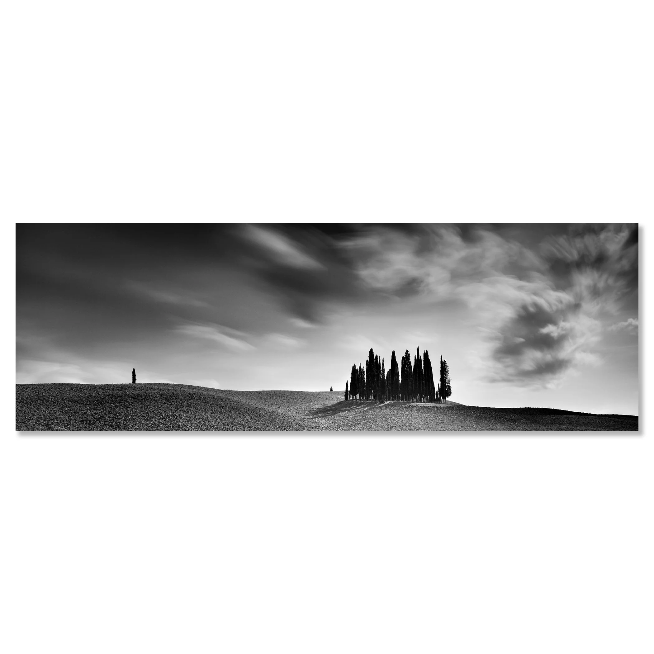 Cypress Hill Panorama Study 4 by Gerald Berghammer presented as a frameless black-and-white Dibond artwork.