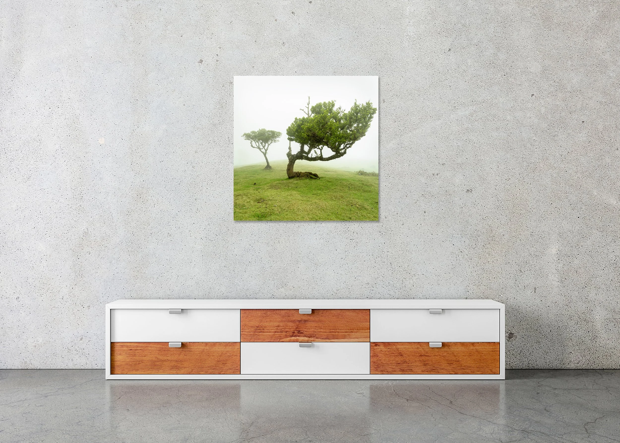 Wind-shaped trees in a misty green meadow, emerging from fog in a serene minimalist landscape, photo print mounted to Dibond, frameless