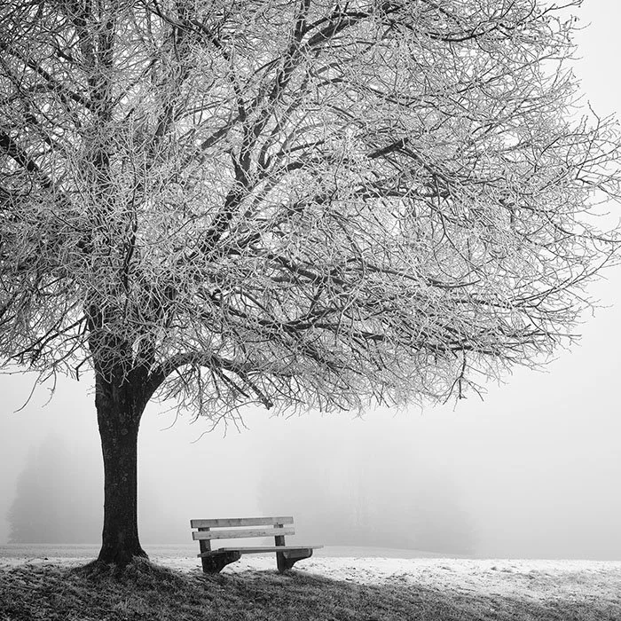 Cold Foggy Winter Morning Study 1 – Austria | Gerald Berghammer