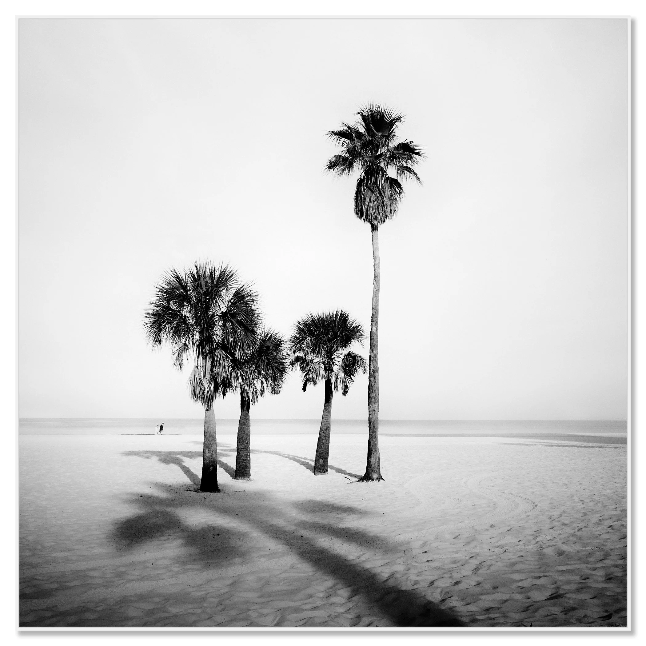 Palm Beach Study 5 shown in a white aluminium ArtBox frame by Gerald Berghammer.