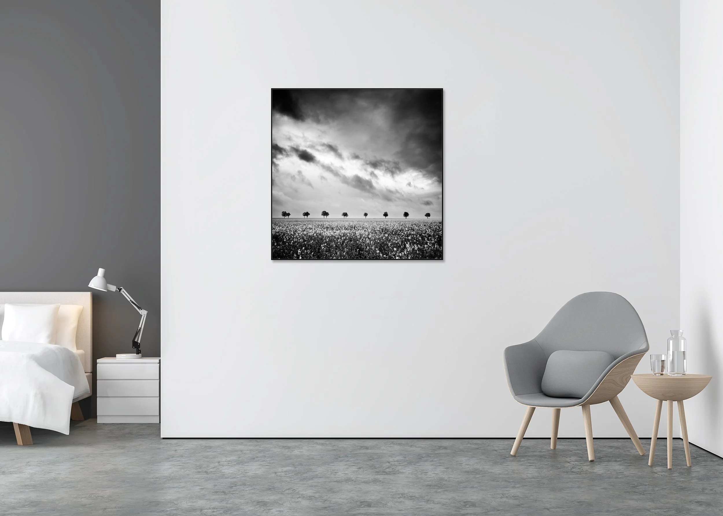 Black and white rapeseed field photo print with a line of small trees and dramatic storm clouds, mounted to Dibond in an aluminium ArtBox