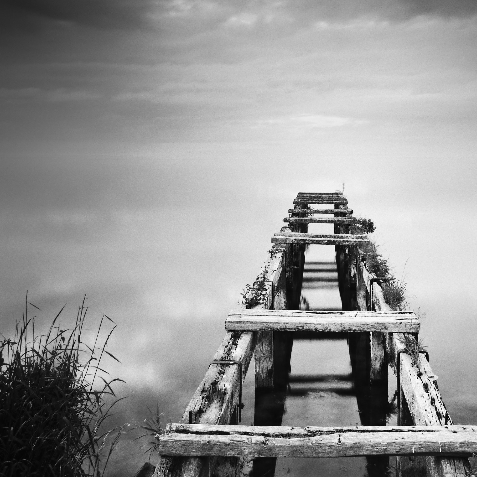 Gerald Berghammer - Black and white waterscape photography. An old abandoned wooden dock extending into a calm body of water under a cloudy sky. Print detail 1