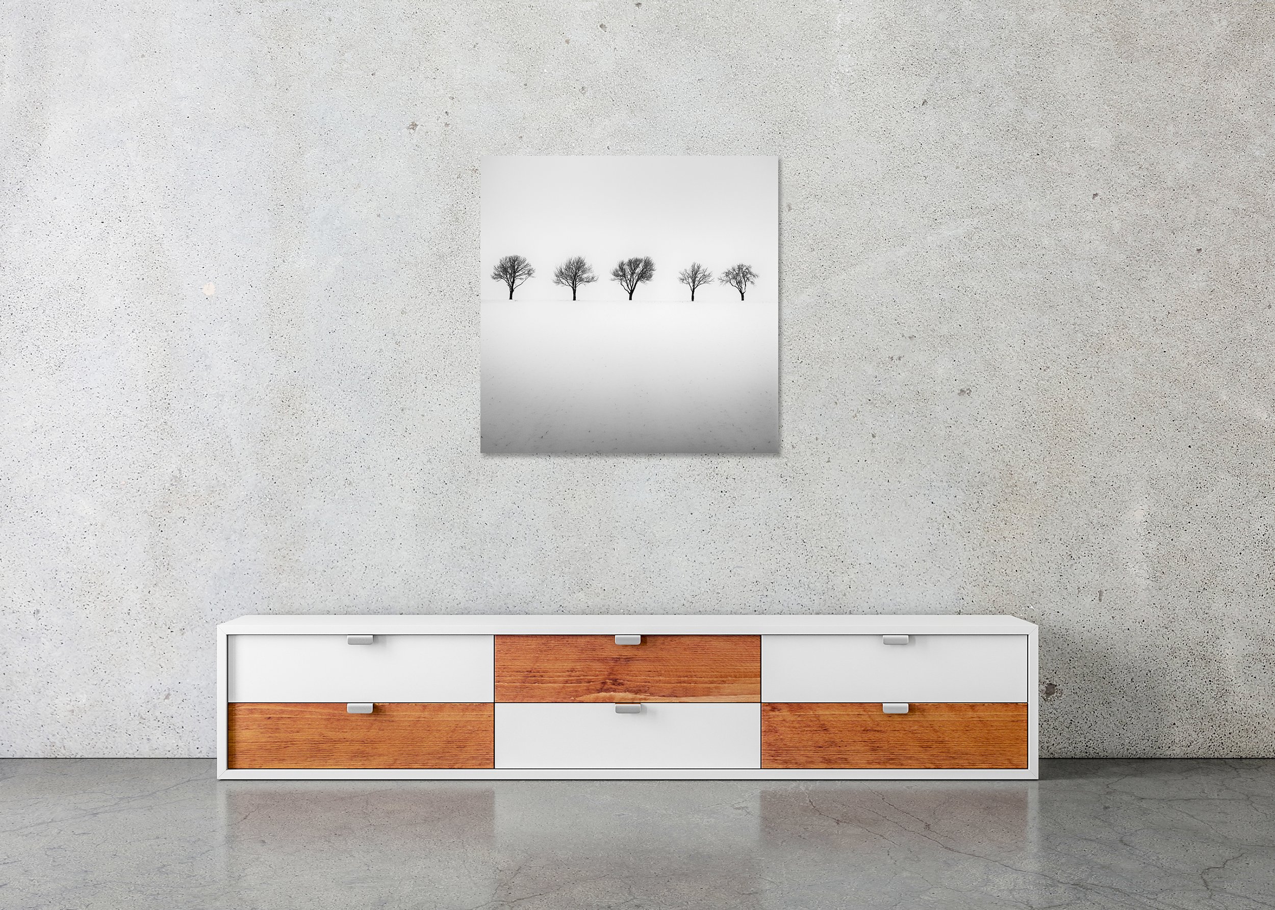 Five Trees in Snowy Field by Gerald Berghammer displayed in a contemporary interior as a frameless Dibond artwork.