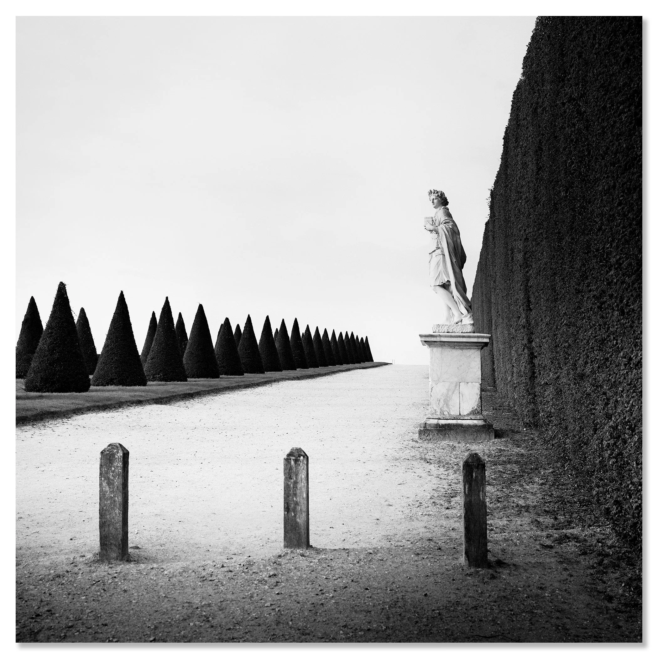 © 2017 Gerald Berghammer - Black and white landscape photography. Statue of a person along a tall hedge, with a row of trimmed cone-shaped trees. Chromaluxe frameless