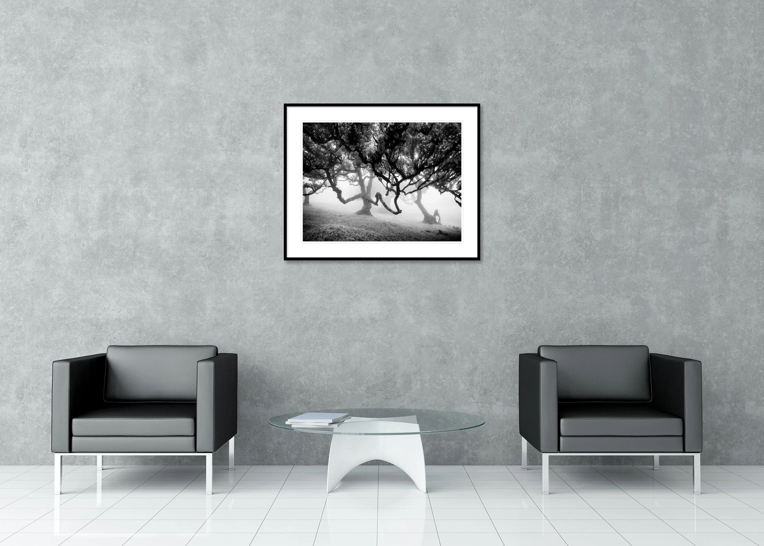 Abstract black and white photo of bent trees in a dense misty forest, presented as an archival pigment print in a classic frame with a mount.