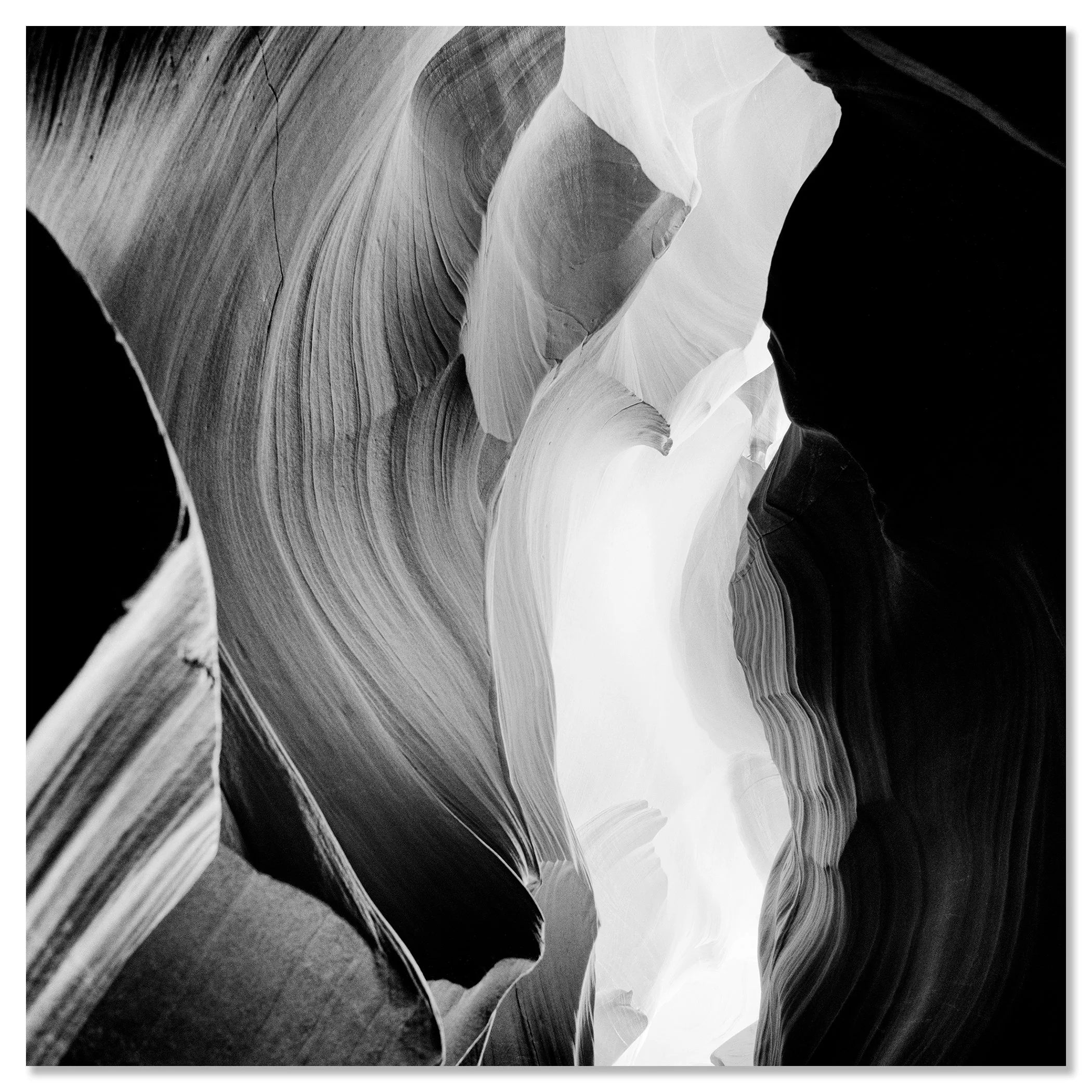 Narrow sandstone slot canyon with sculpted, wave-like rock walls, Arizona, USA – dibond frameless