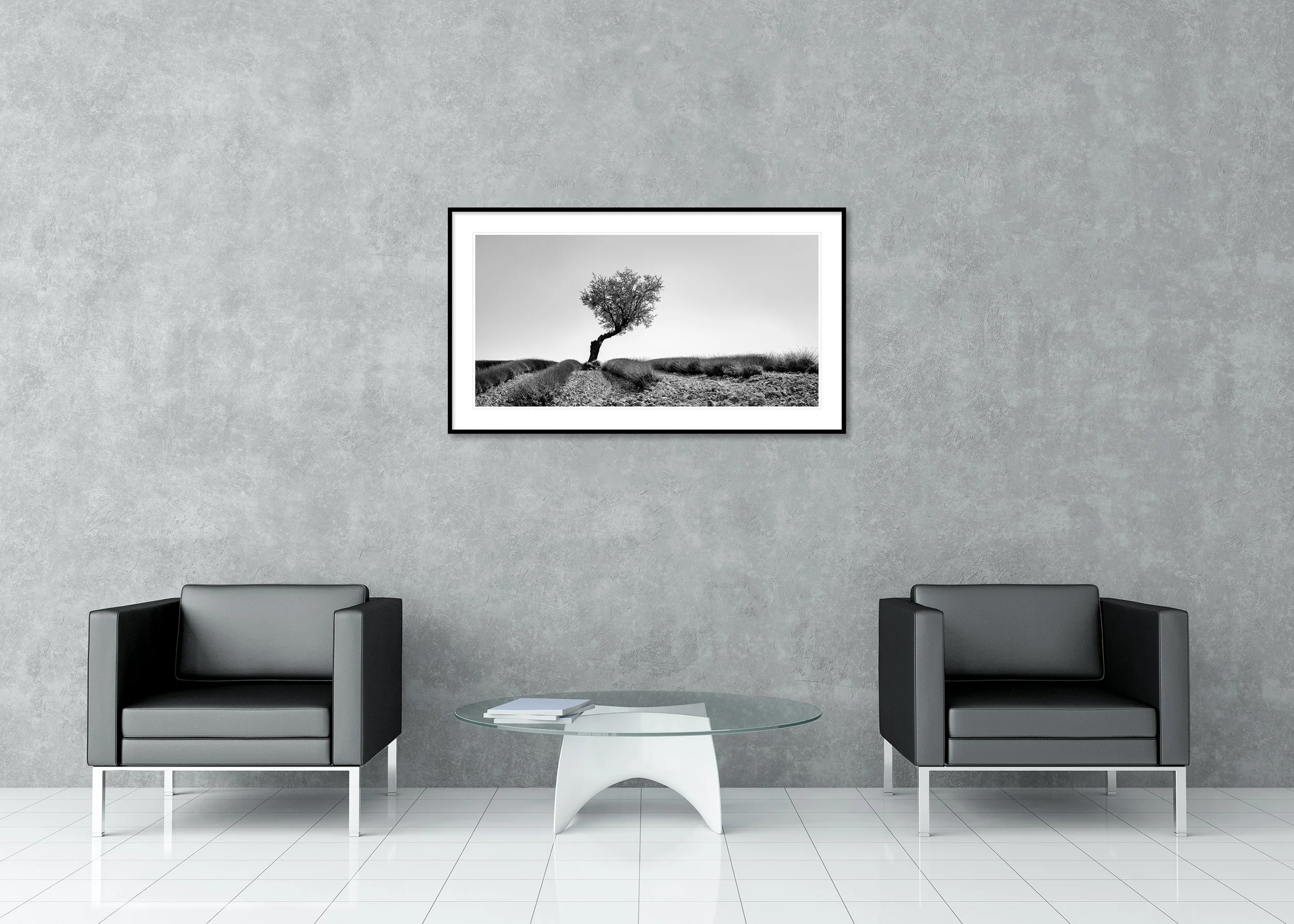 Minimalist black-and-white landscape with a lone tree beside a dirt path, rolling fields and a wide open sky, archival pigment print in a classic frame with a mount.