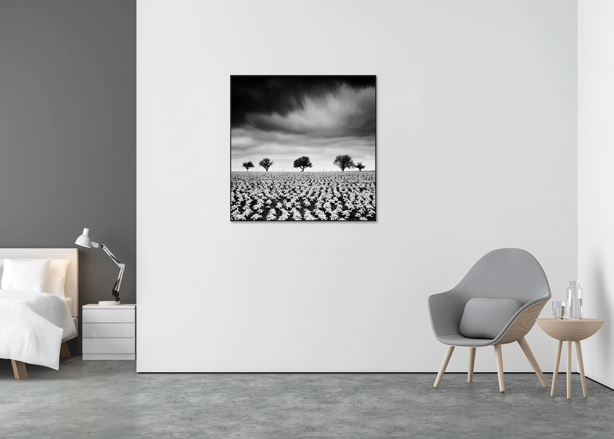 Black and white fine art print of a broad potato field with young plants and five distant trees under a dramatic sky, mounted on Dibond in an aluminium ArtBox.