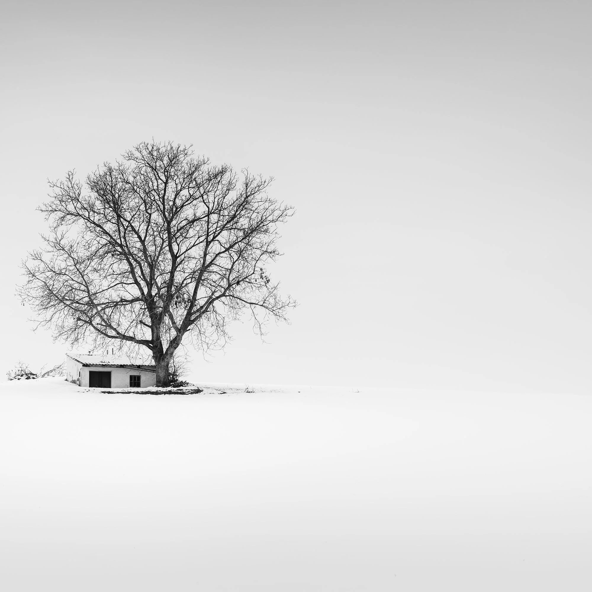 Minimalist black-and-white landscape of a wine press house in winter farmland, Austria, cropped view
